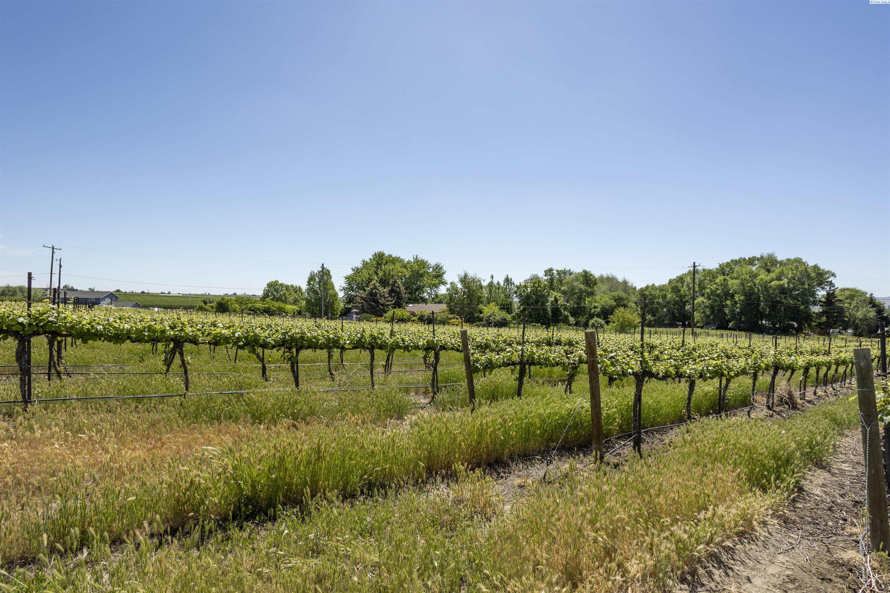 Homes for sale in Grandview, WA | Tbd Wilson Hwy, Grandview, WA 98930 | MLS# 275970