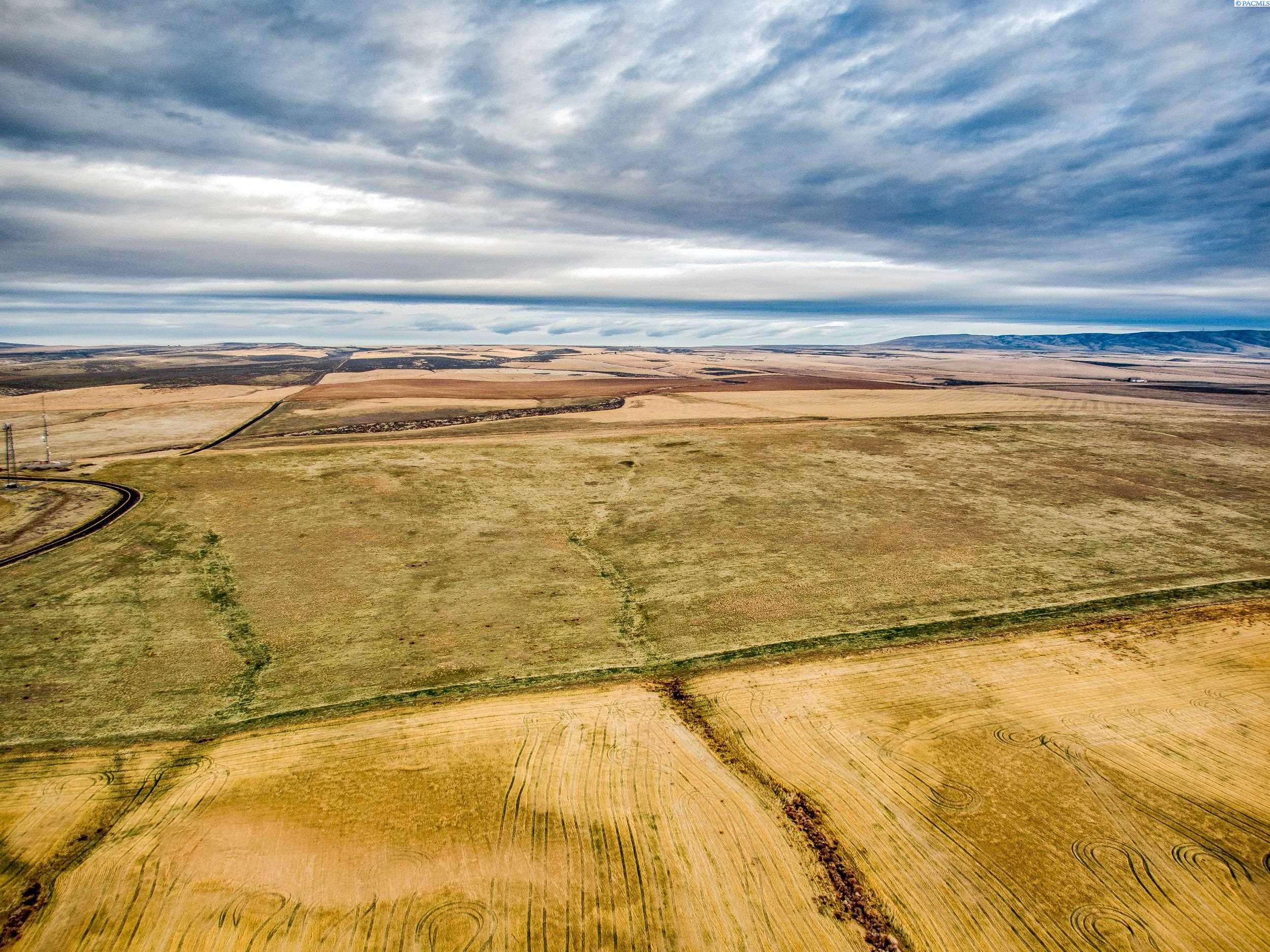 Homes for sale in Prosser, WA | 5000 E Nka Crosby Rd, Prosser, WA 99350 | MLS# 282542