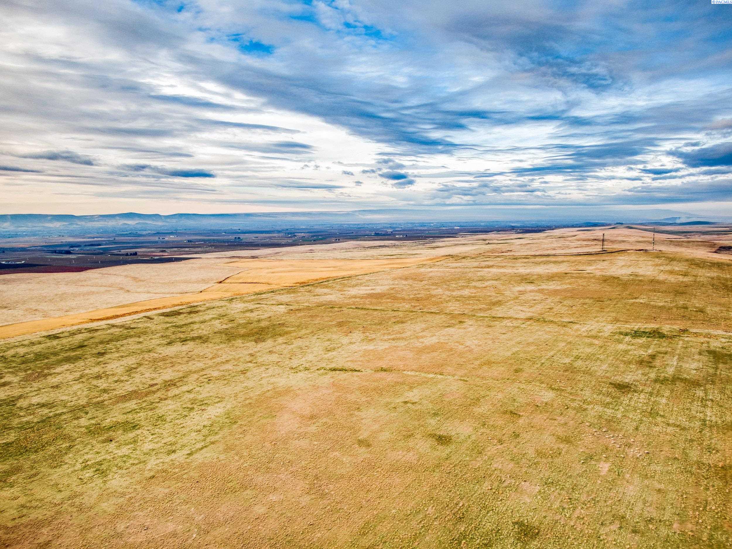 Homes for sale in Prosser, WA | 5000 E Nka Crosby Rd, Prosser, WA 99350 | MLS# 282542