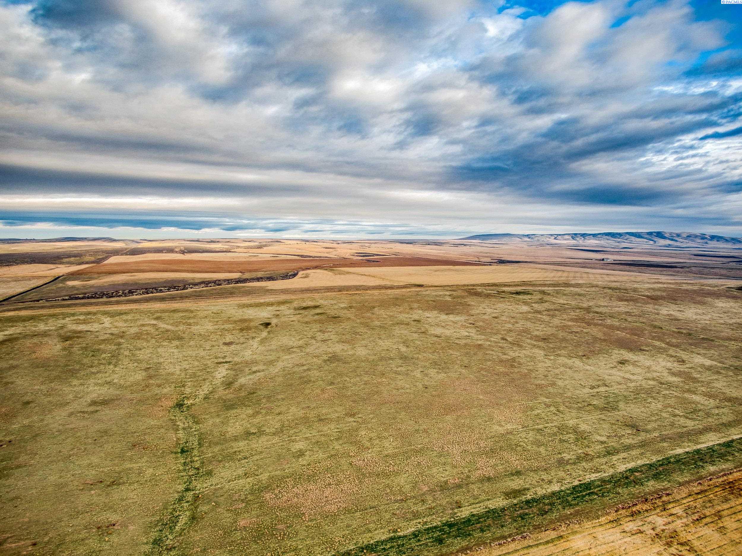 Homes for sale in Prosser, WA | 5000 E Nka Crosby Rd, Prosser, WA 99350 | MLS# 282542