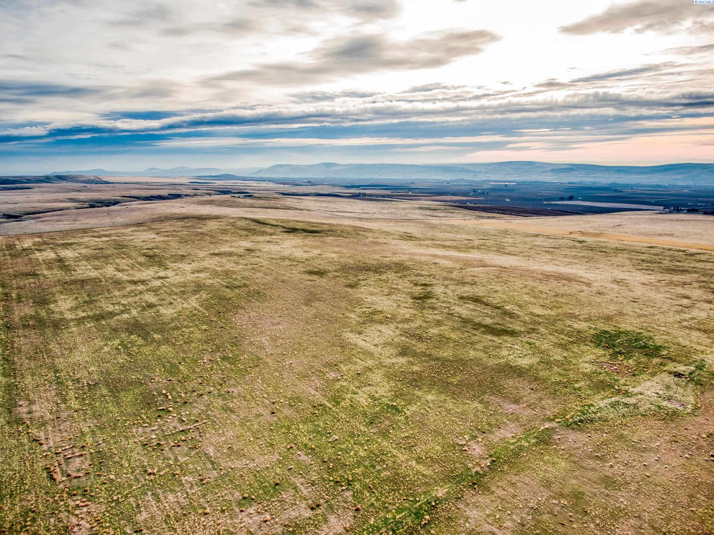 Homes for sale in Prosser, WA | 6000 F Nka Crosby Rd, Prosser, WA 99350 | MLS# 282543
