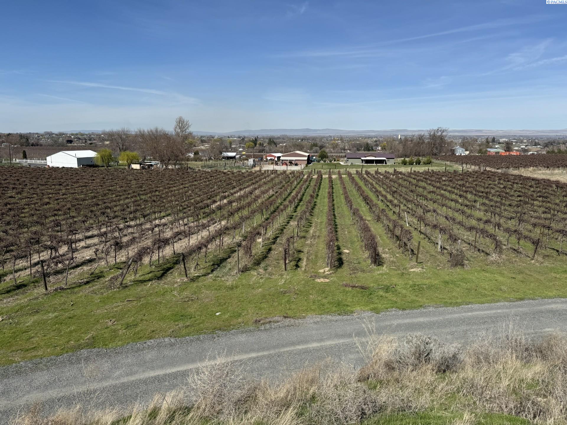 Homes for sale in Prosser, WA | Tbd Richards Rd, Prosser, WA 99350 | MLS# 282700