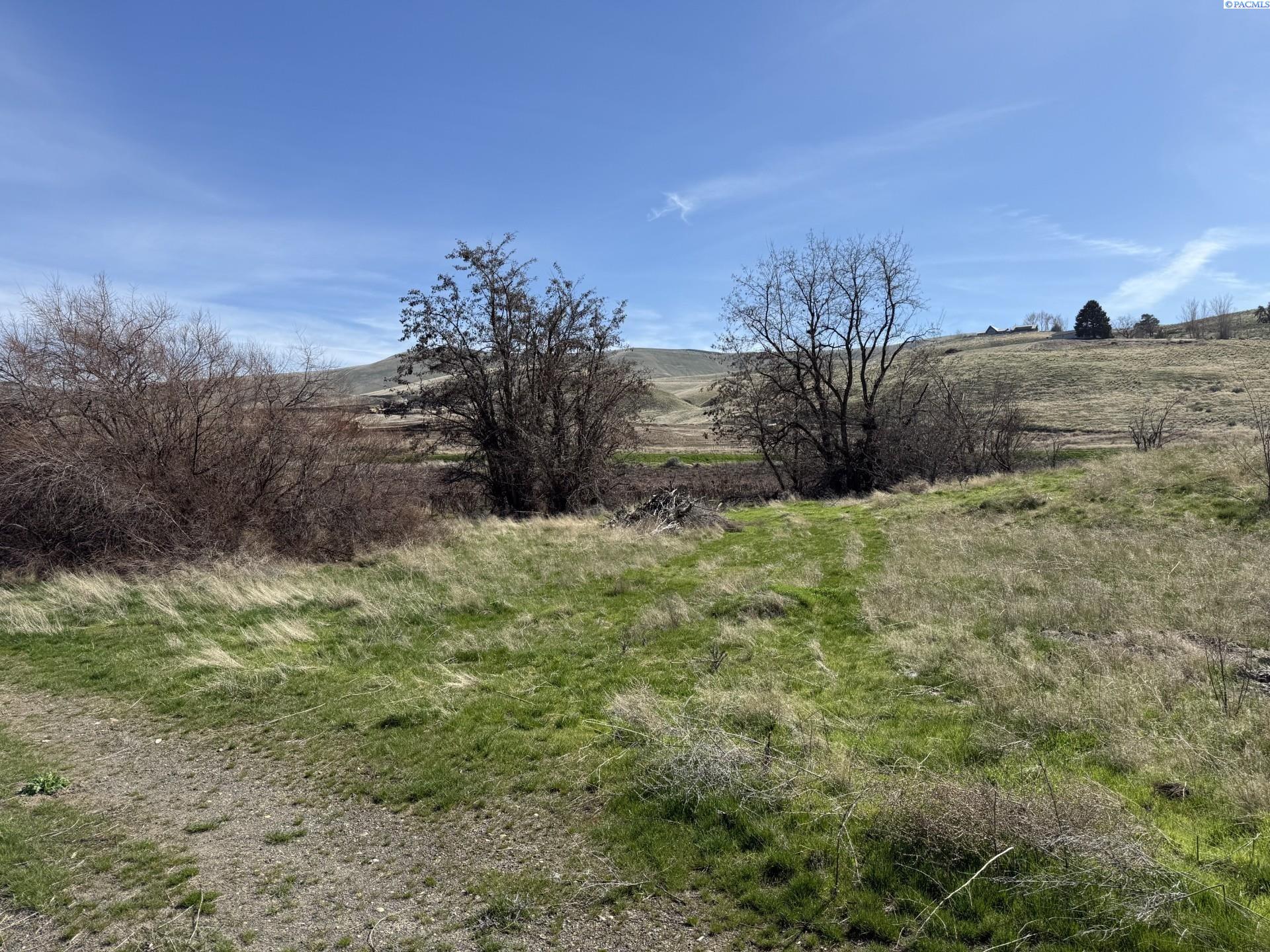 Homes for sale in Prosser, WA | Tbd Richards Rd, Prosser, WA 99350 | MLS# 282700