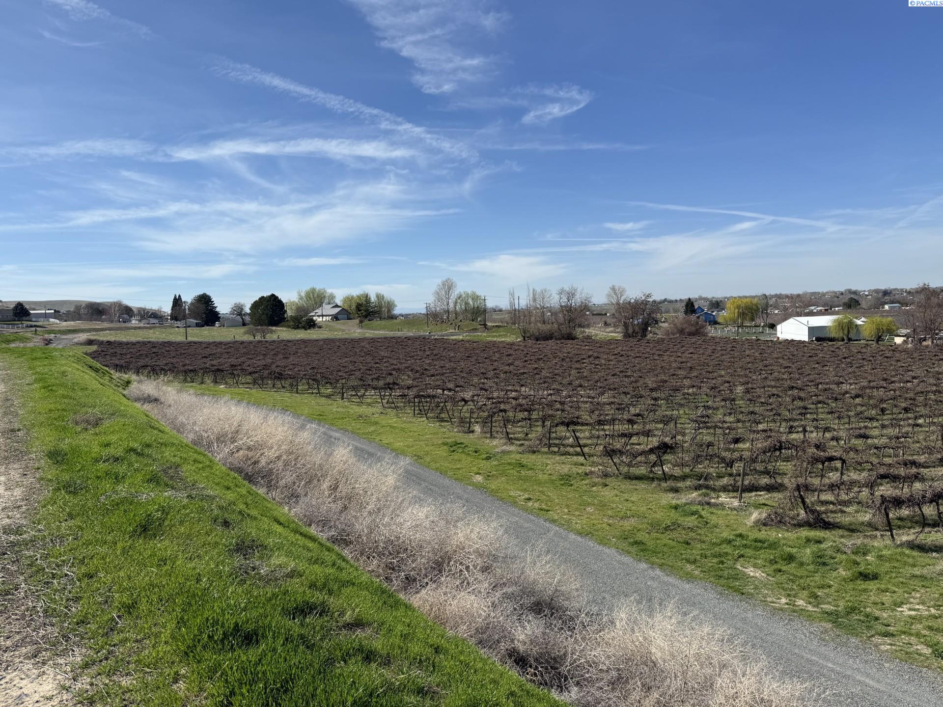 Homes for sale in Prosser, WA | Tbd Richards Rd, Prosser, WA 99350 | MLS# 282700