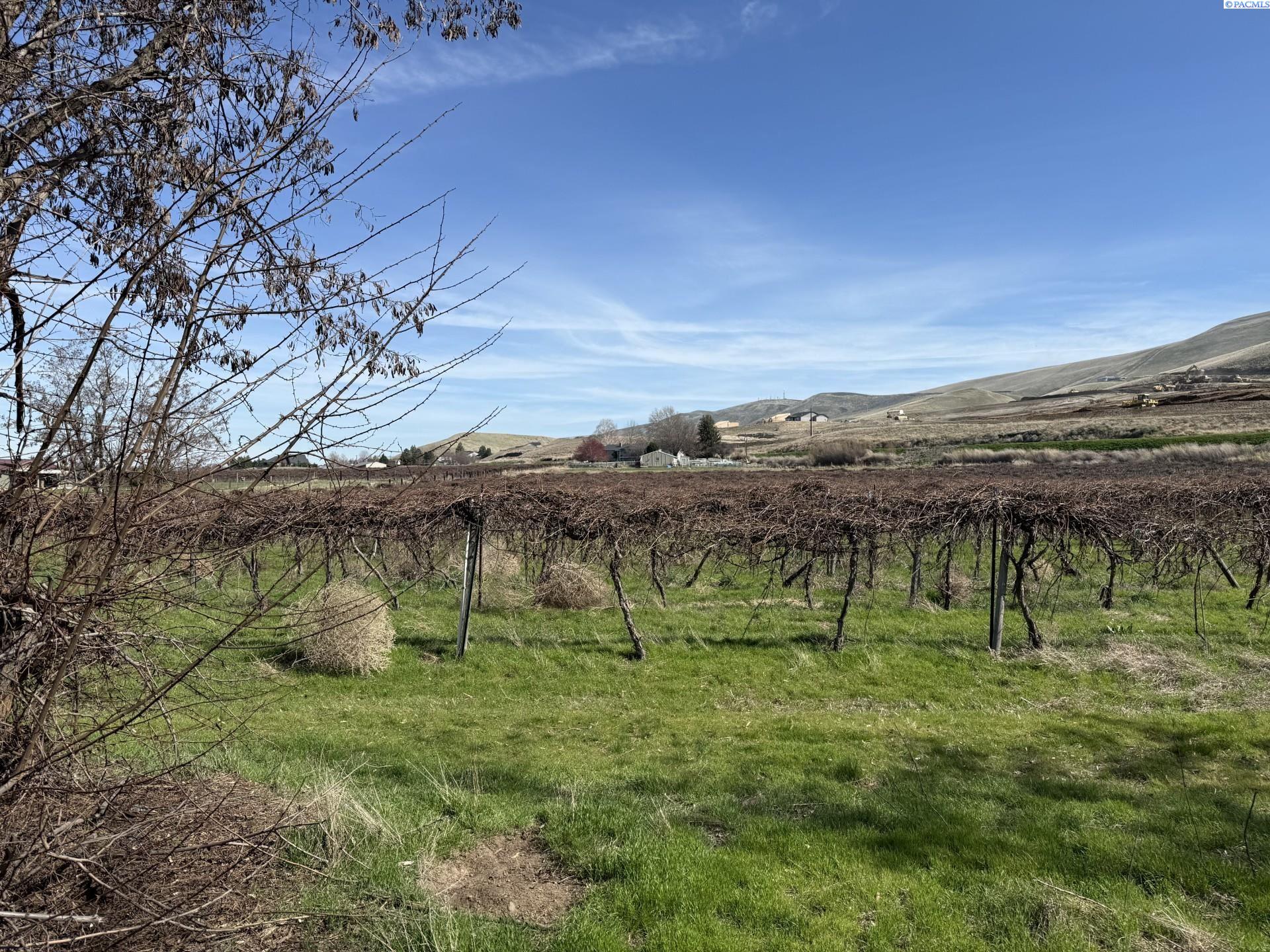 Homes for sale in Prosser, WA | Tbd Richards Rd, Prosser, WA 99350 | MLS# 282700