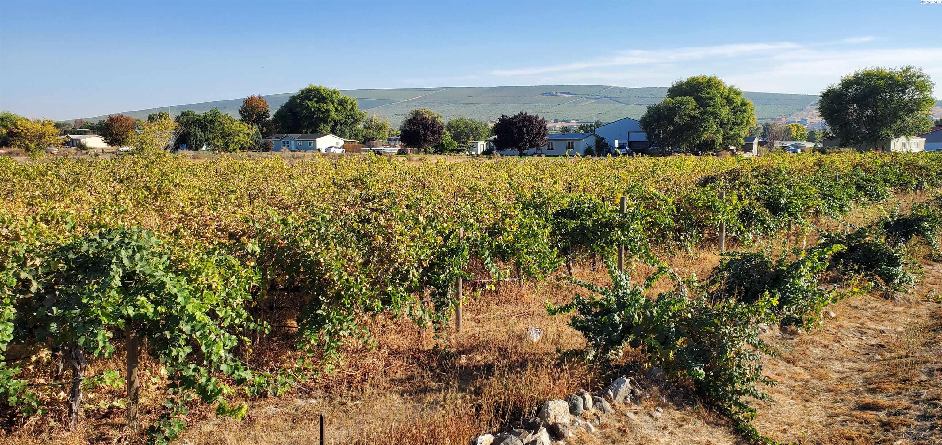 Homes for sale in Benton City, WA | 21206 363 Pr Ne, Benton City, WA 99320 | MLS# 282860