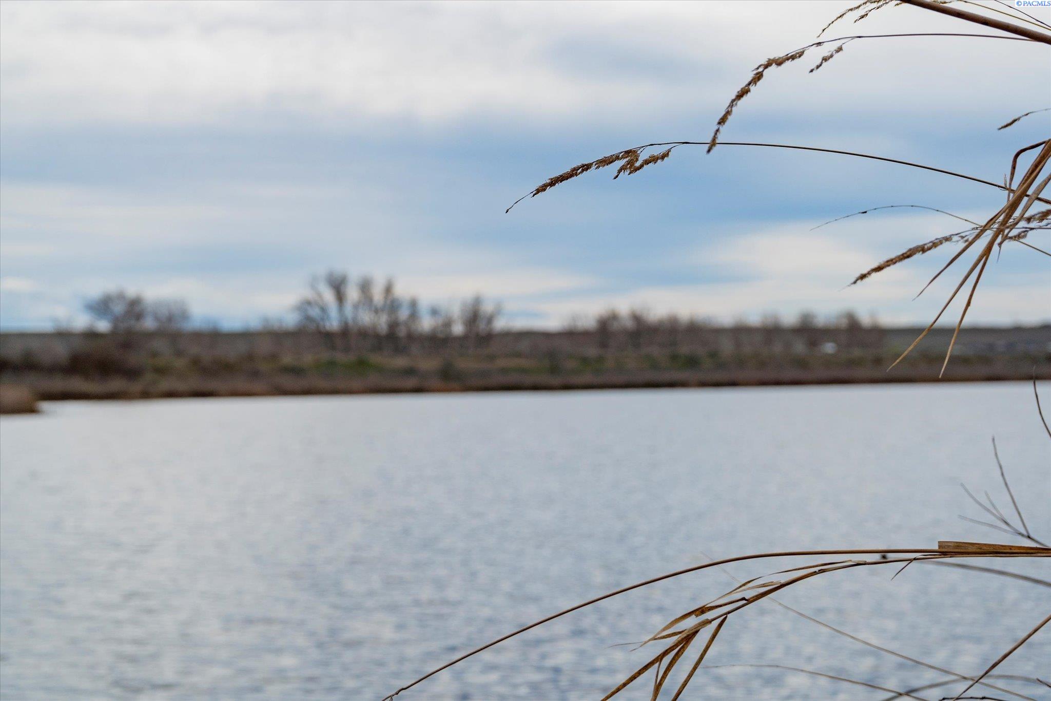 Lot 5 Mitchell , Plymouth, WA 99346