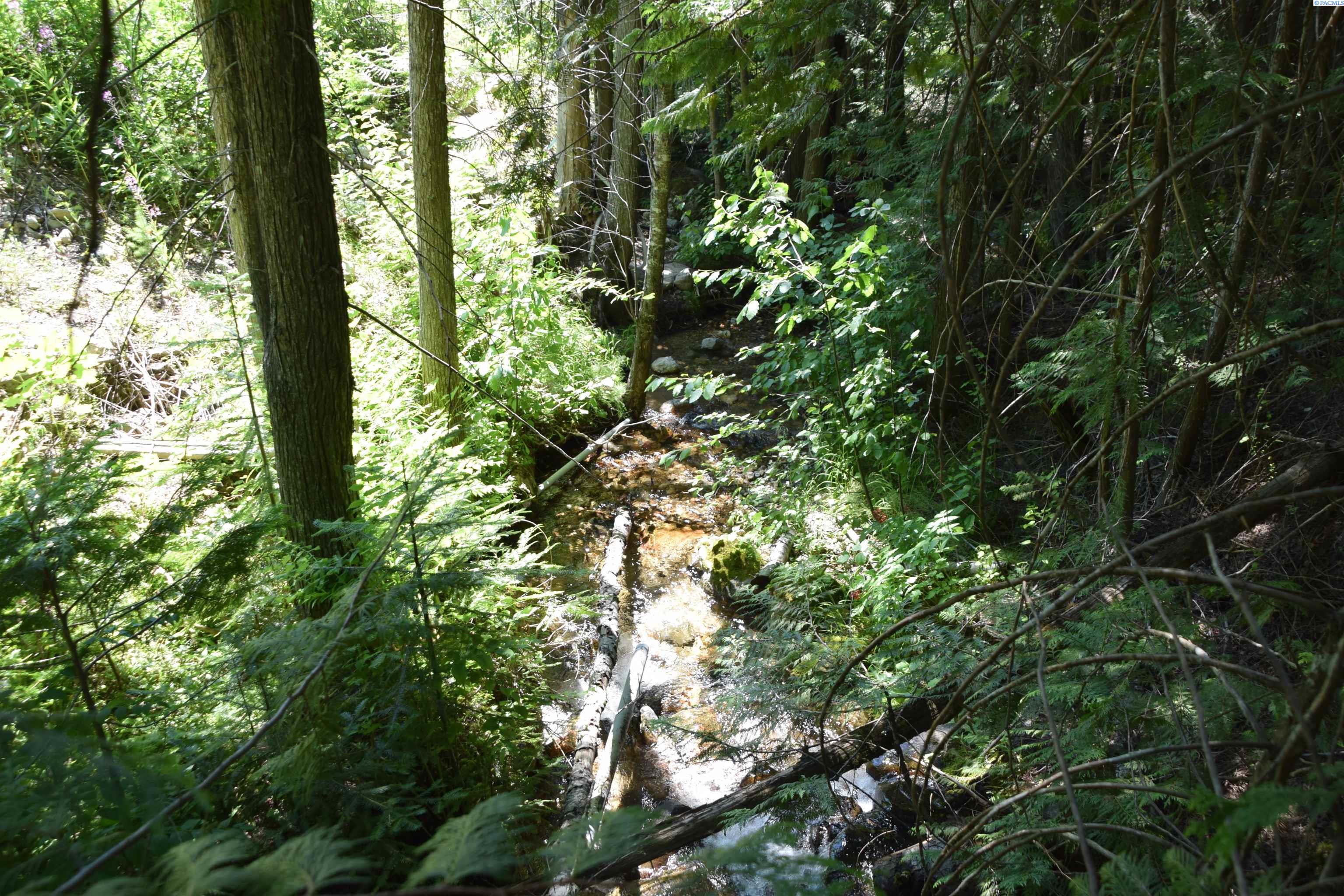 Homes for sale in Colville, WA | 1555 Comstock Mine Rd, Colville, WA 99114 | MLS# 283414