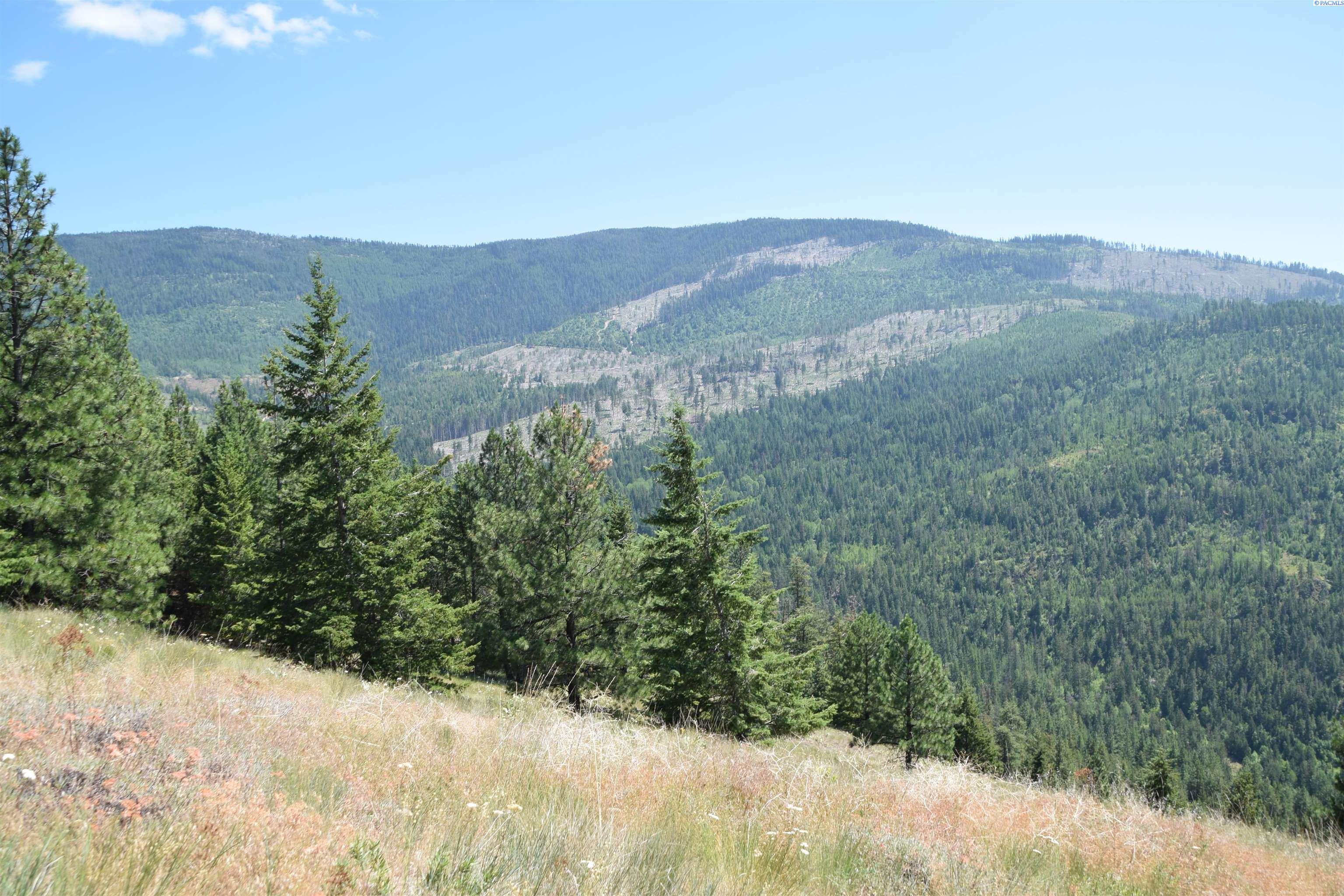 Homes for sale in Colville, WA | 1555 Comstock Mine Rd, Colville, WA 99114 | MLS# 283414