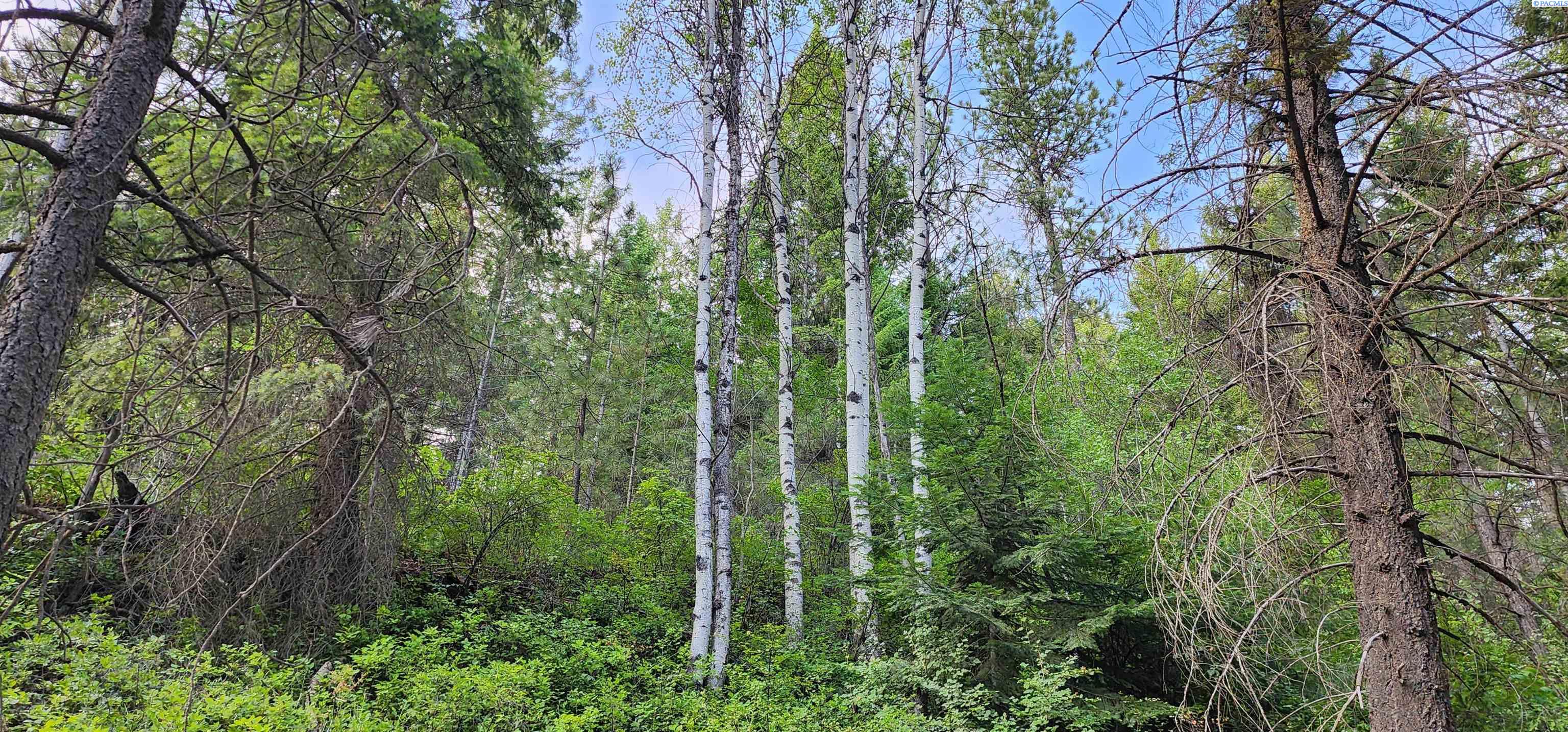 Homes for sale in Colville, WA | 1555 Comstock Mine Rd, Colville, WA 99114 | MLS# 283414