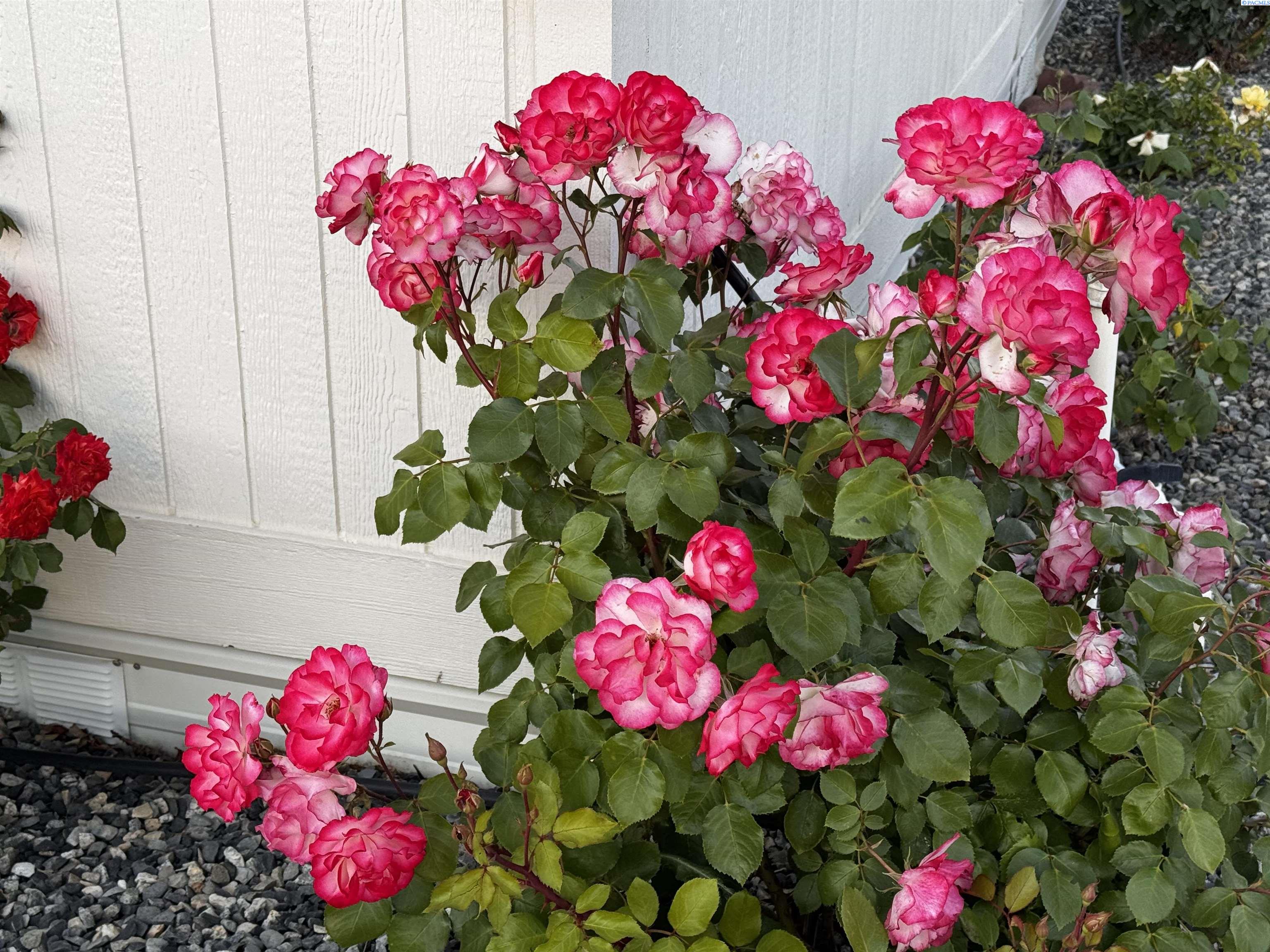 Homes for sale in Kennewick, WA | 312 S Columbia Center Blvd #28, Kennewick, WA 99336 | MLS# 284307