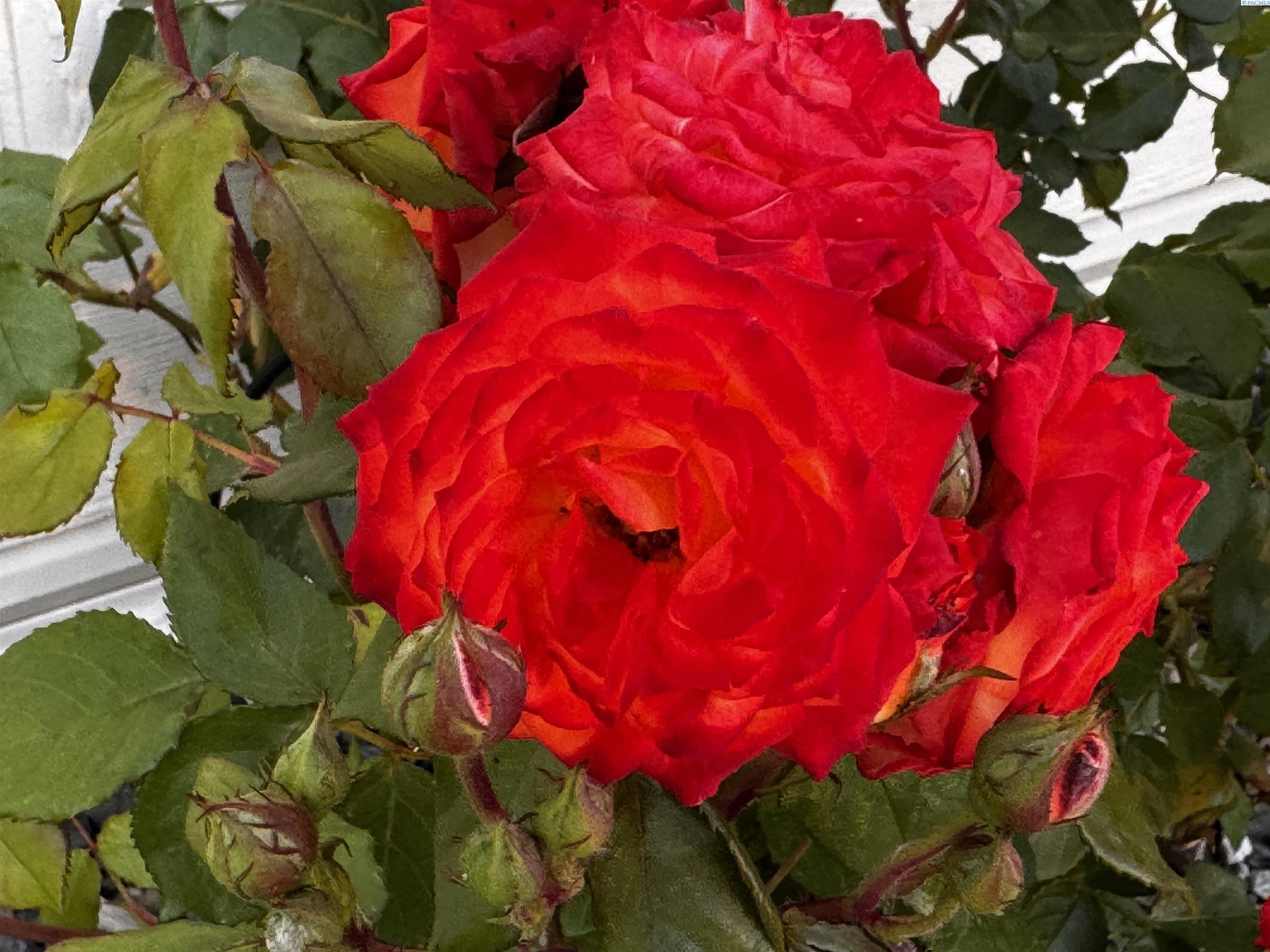 Homes for sale in Kennewick, WA | 312 S Columbia Center Blvd #28, Kennewick, WA 99336 | MLS# 284307