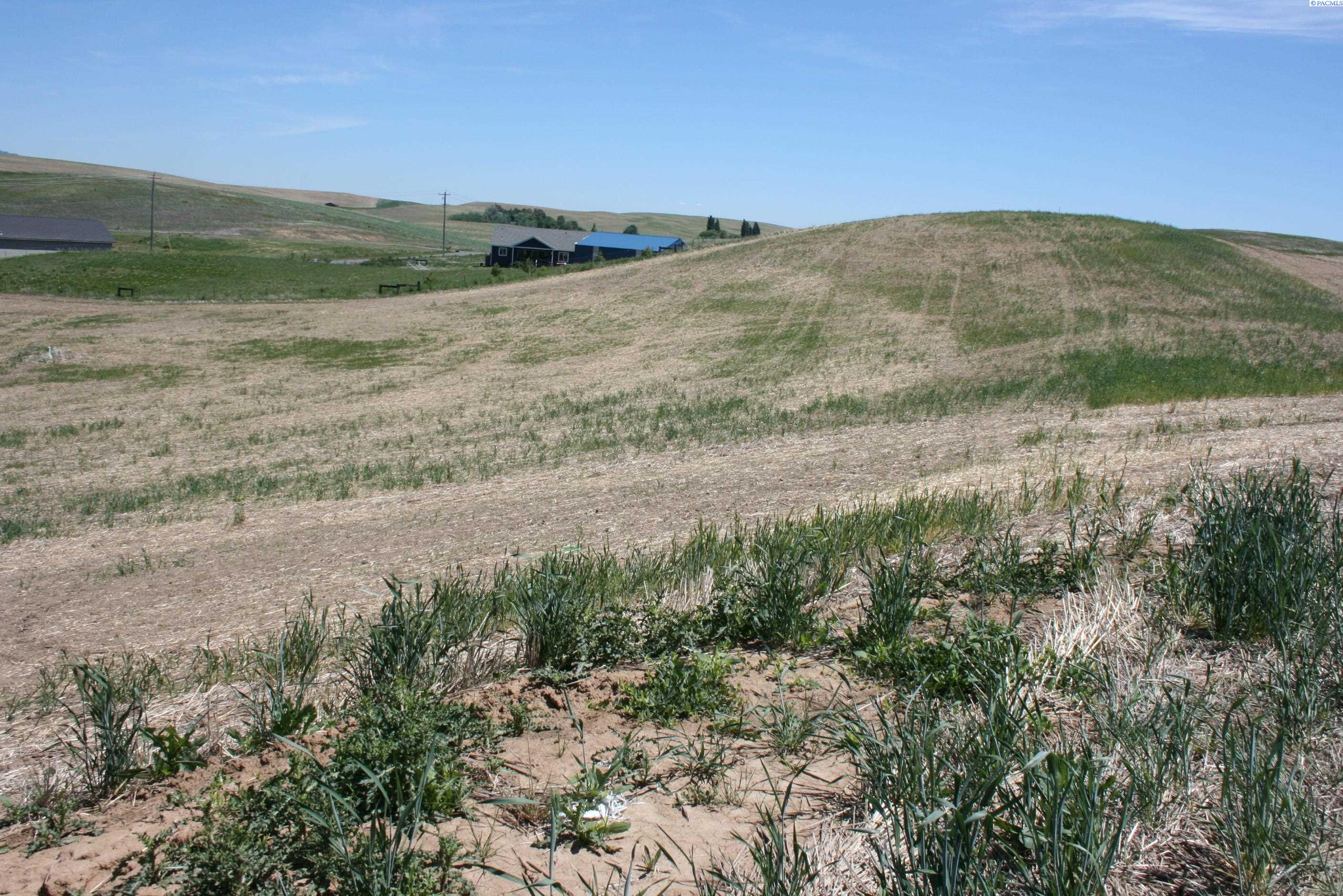 Homes for sale in Pullman, WA | 1491 Orville Boyd Road, Pullman, WA 99163 | MLS# 284549