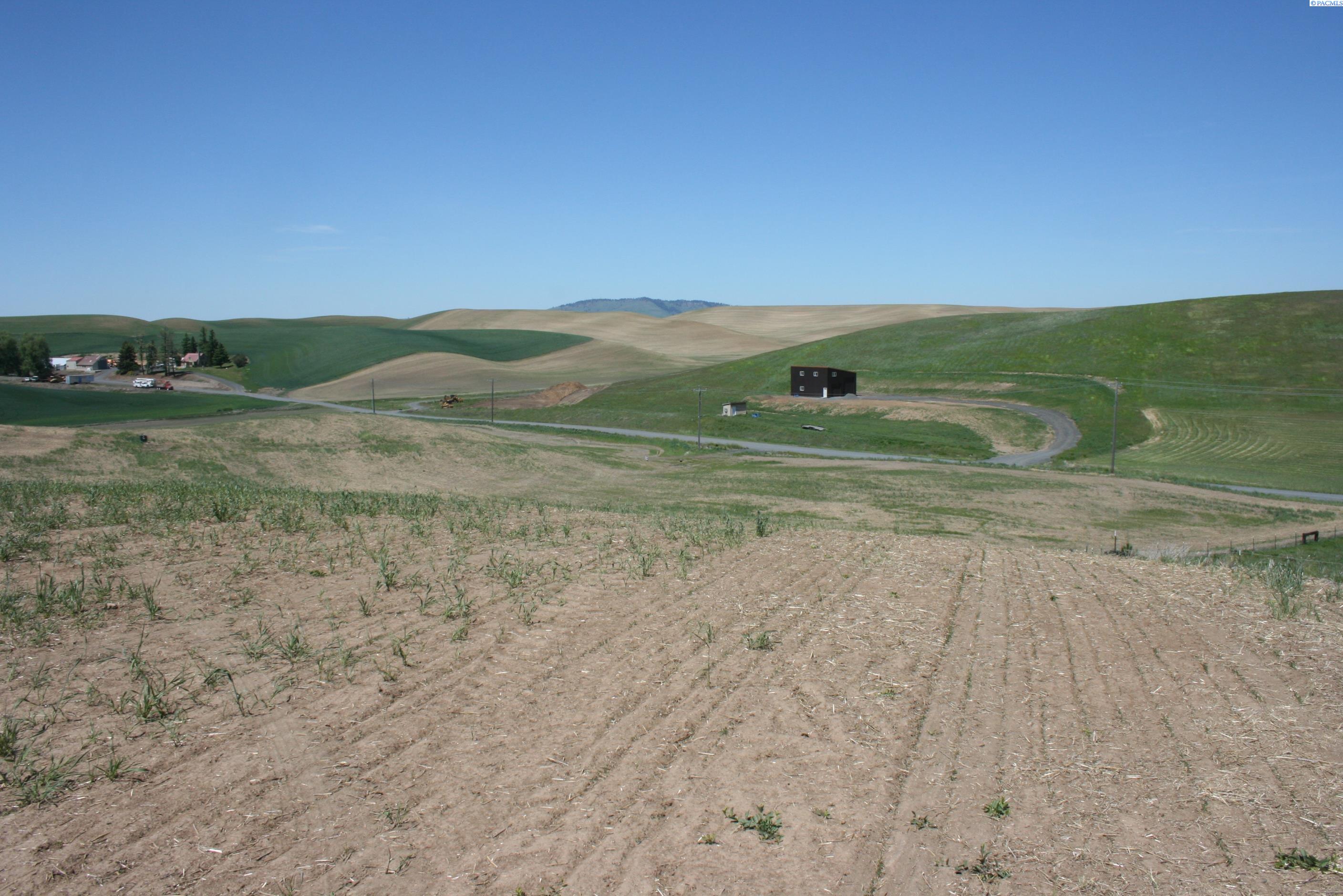 Homes for sale in Pullman, WA | 1491 Orville Boyd Road, Pullman, WA 99163 | MLS# 284549
