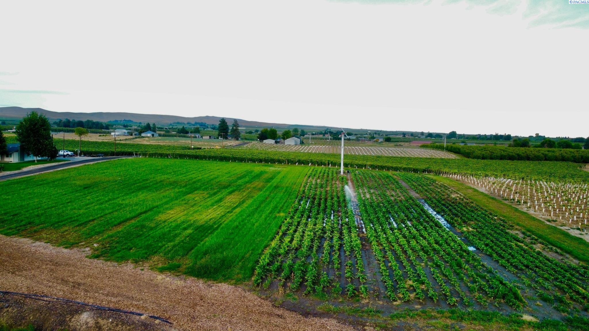 Homes for sale in Zillah, WA | Nka E Sunnyside Canal, Zillah, WA 98944 | MLS# 286216