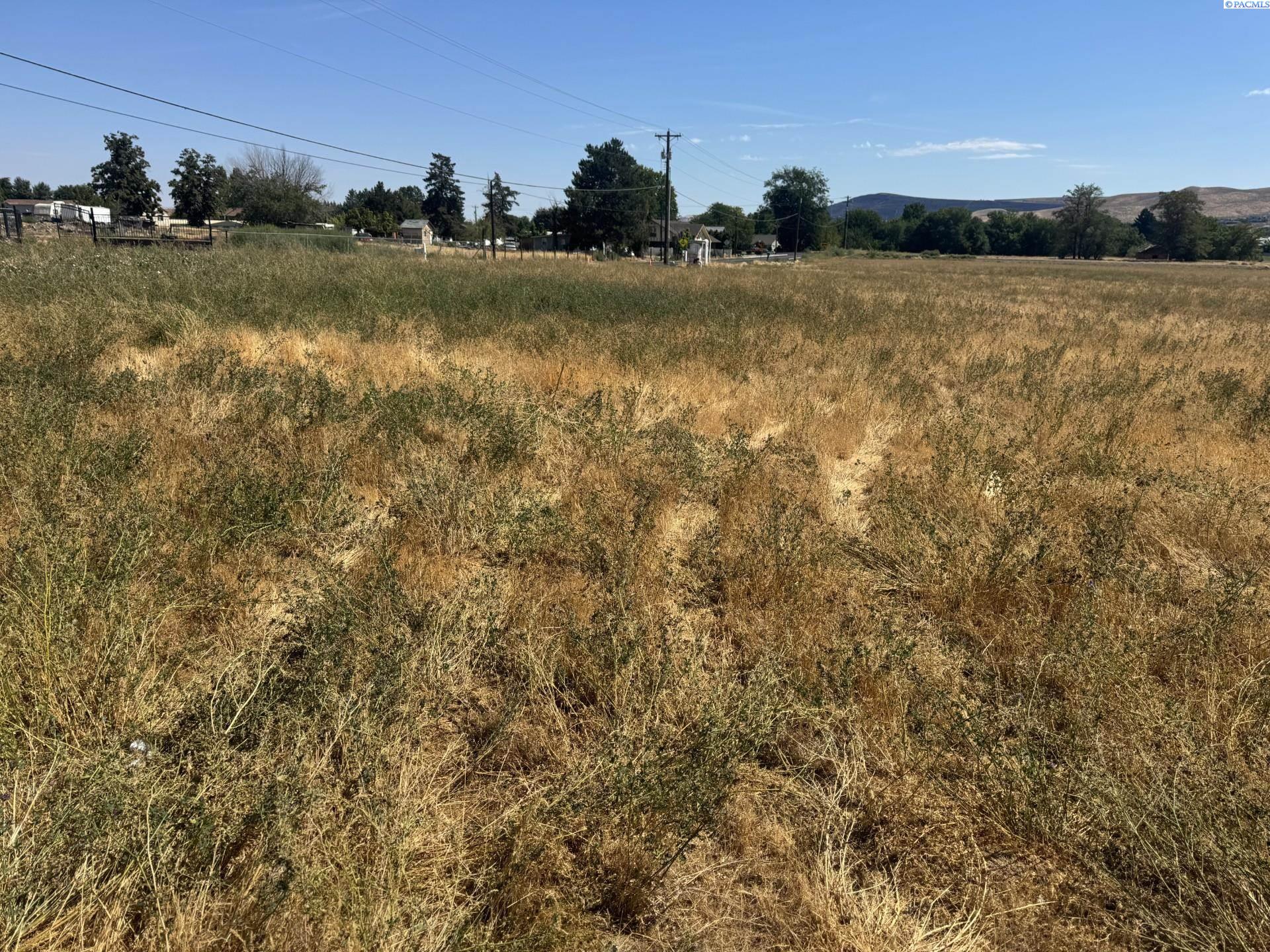 Homes for sale in Prosser, WA | 5811 S Moore Rd, Prosser, WA 99350 | MLS# 286755