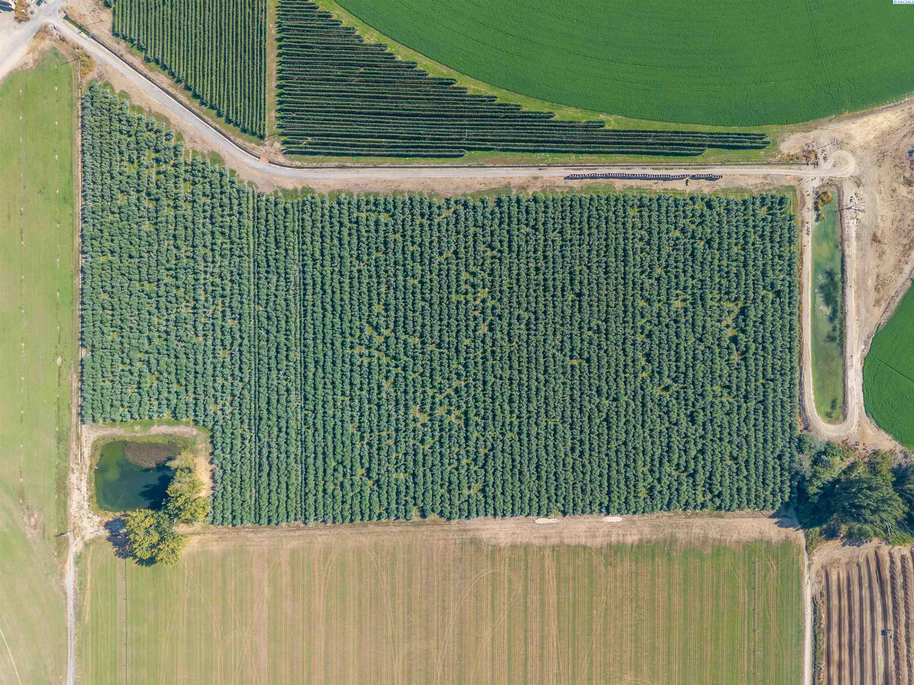 Homes for sale in Othello, WA | 3250 Albany Rd, Othello, WA 99344 | MLS# 287501