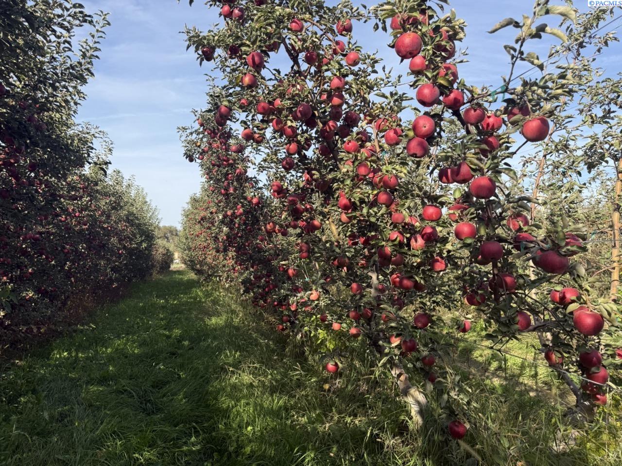 Homes for sale in Grandview, WA | Nna Mt Vw Rd Grandview, Grandview, WA 98930 | MLS# 288127