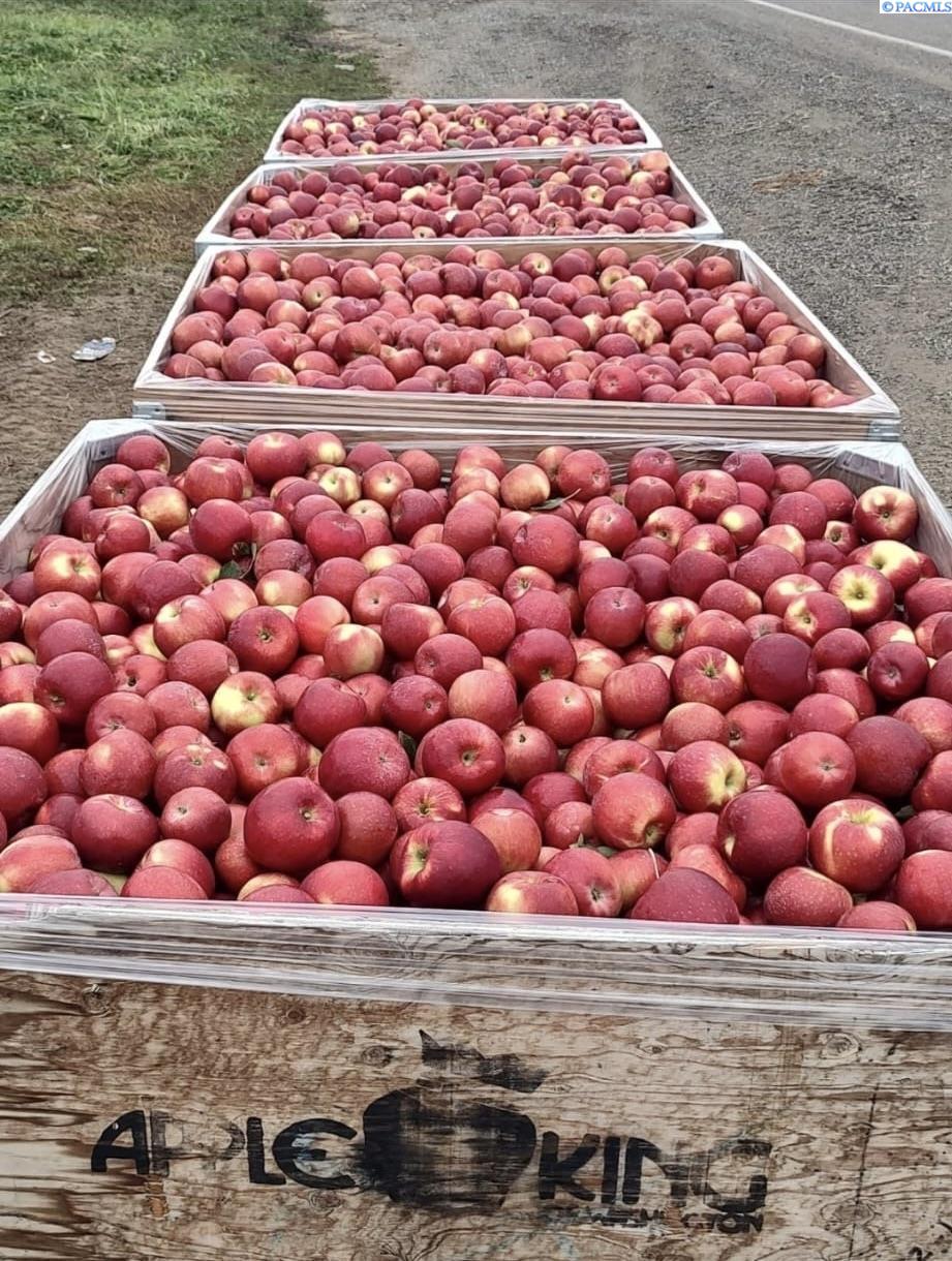 Homes for sale in Grandview, WA | Nna Mt Vw Rd Grandview, Grandview, WA 98930 | MLS# 288127