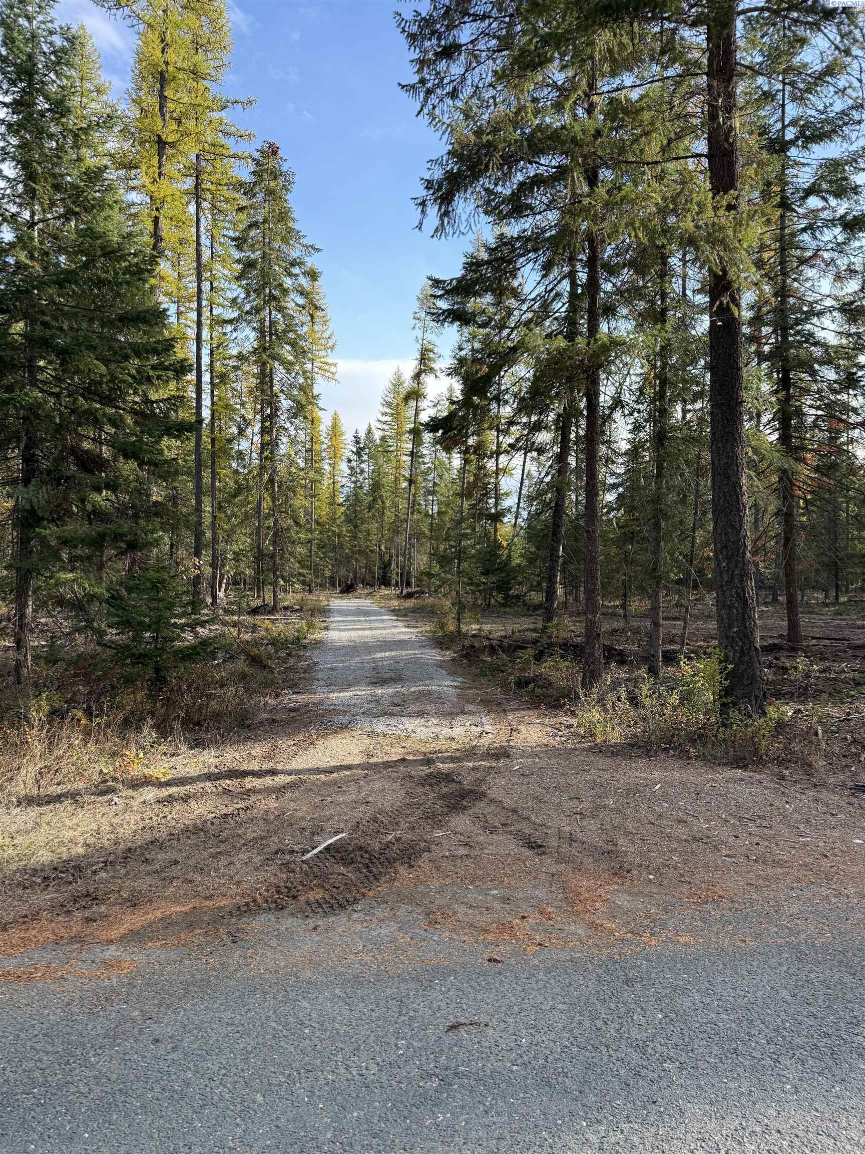 Homes for sale in Cusick, WA | 51 Arthurs Blvd, Cusick, WA 99119 | MLS# 288659