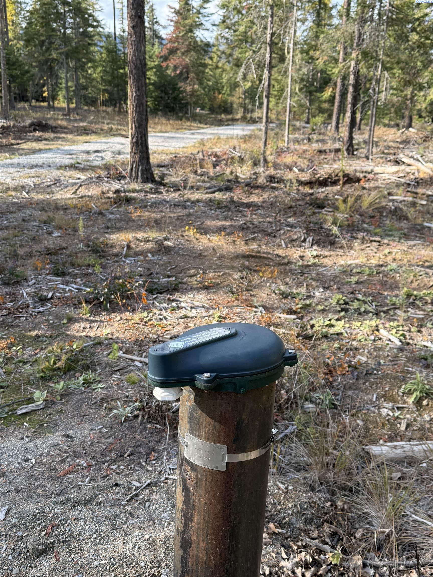 Homes for sale in Cusick, WA | 51 Arthurs Blvd, Cusick, WA 99119 | MLS# 288659