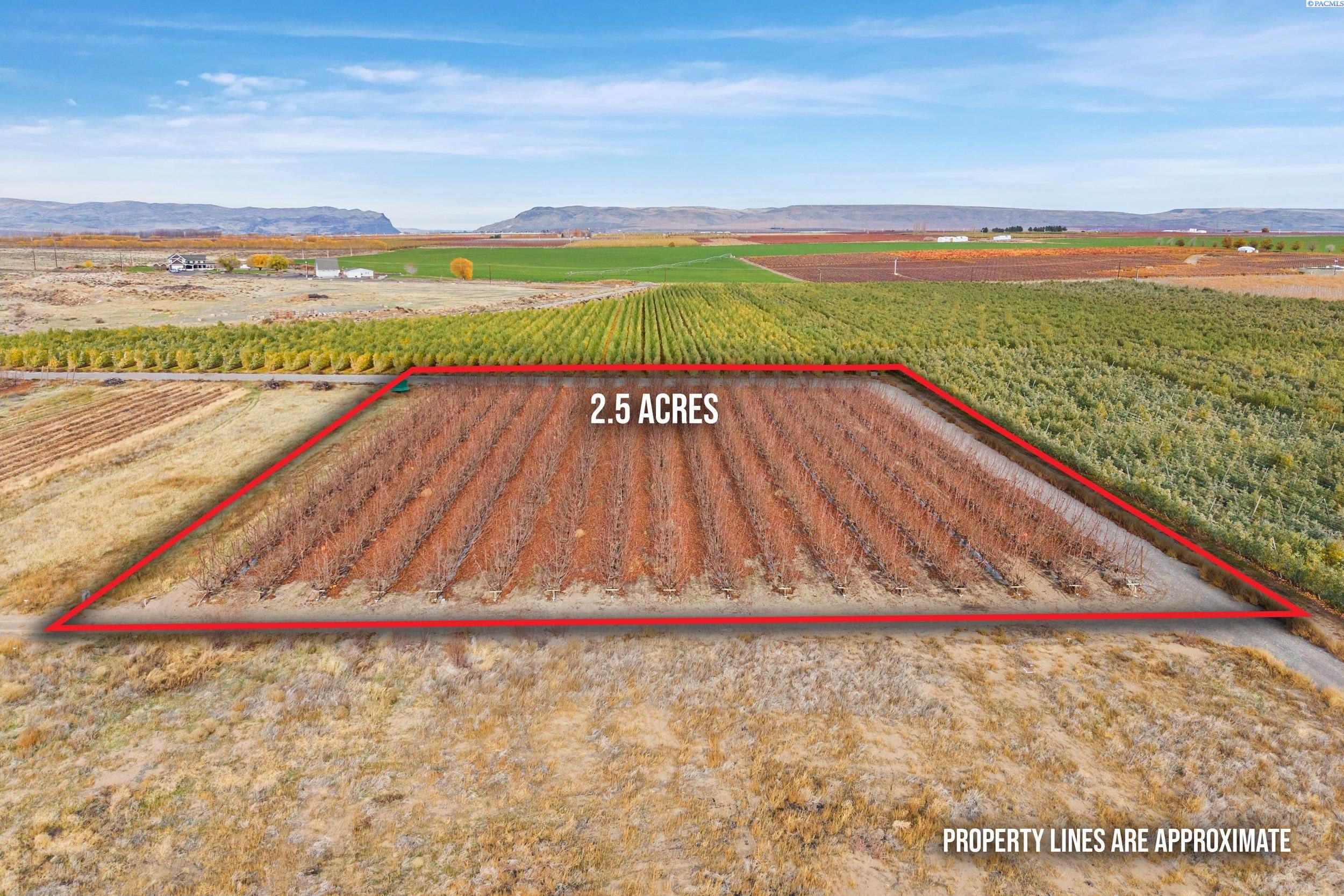 Homes for sale in Desert Aire, WA | 250 N E Desert Aire Dr Sw, Desert Aire, WA 99349 | MLS# 289027