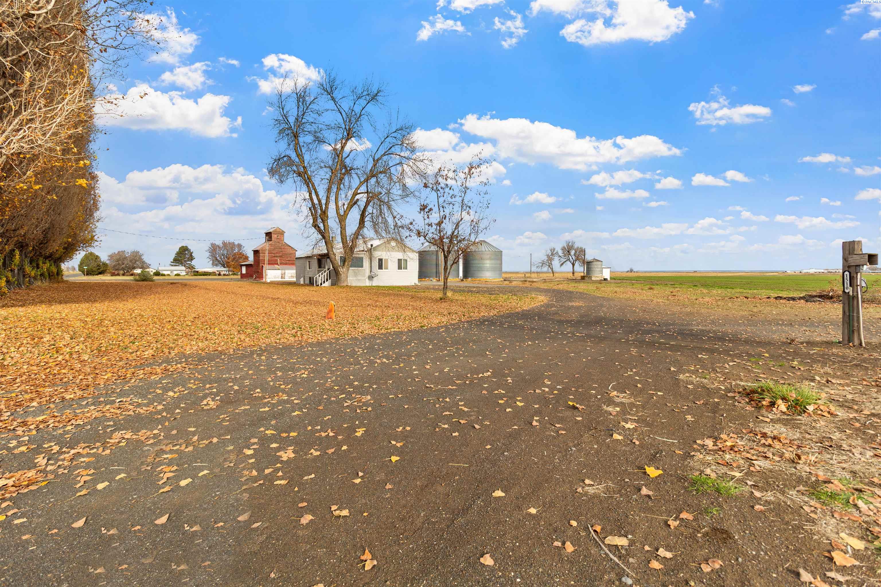 Homes for sale in Connell, WA | 1510 Dilling Rd, Connell, WA 99932 | MLS# 289039