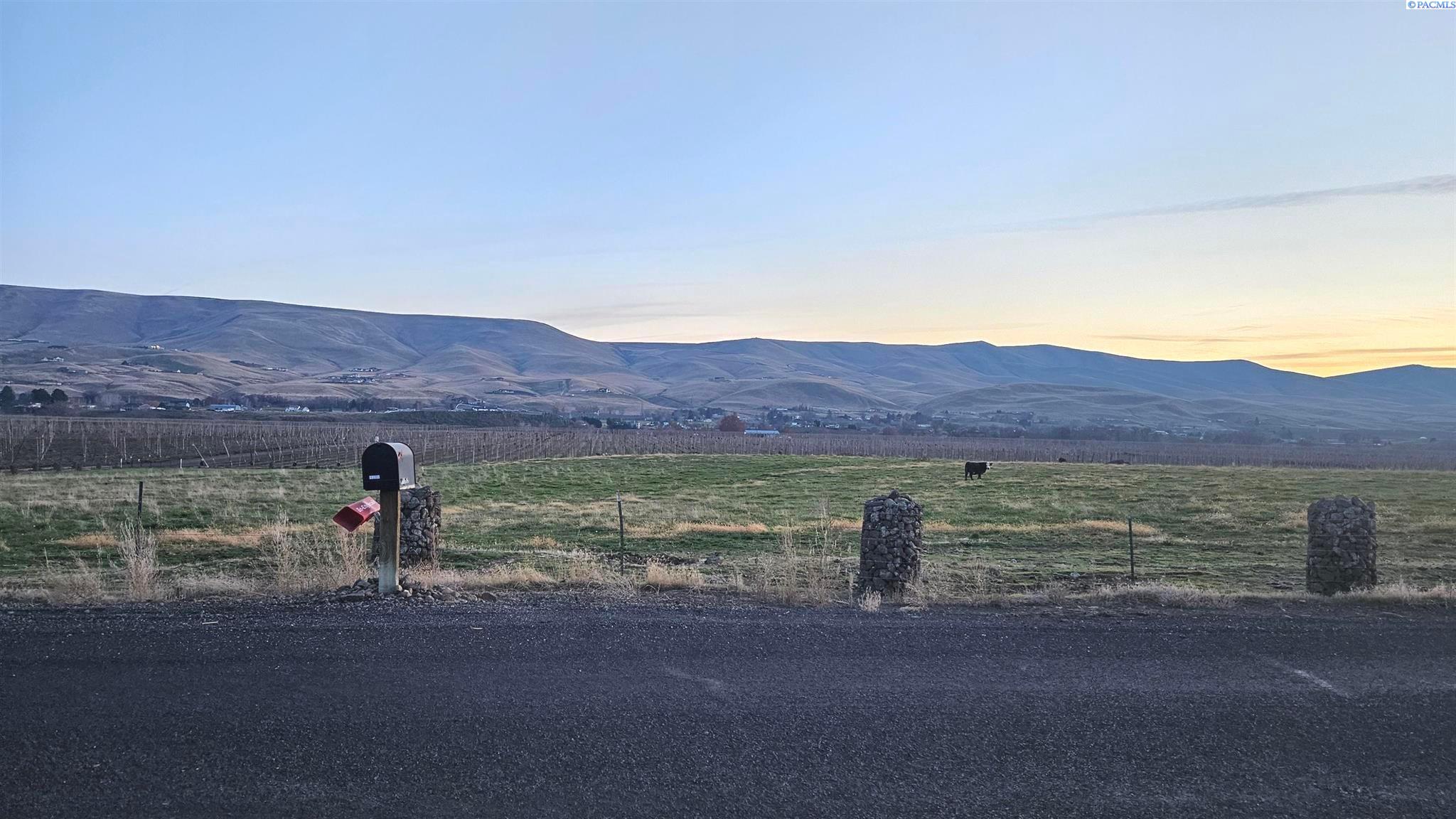 Homes for sale in Prosser, WA | 163106 W North River Rd, Prosser, WA 99350 | MLS# 289243