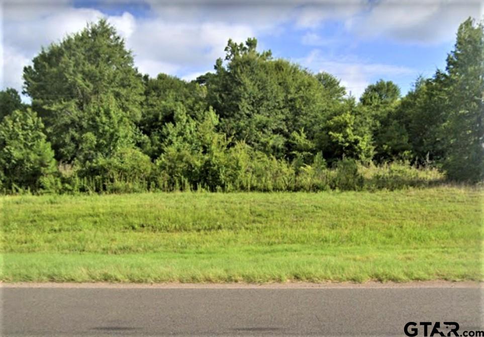 TBD W State Hwy 31, Kilgore, Texas 75662, ,Land,For Sale,W State Hwy 31,23003926