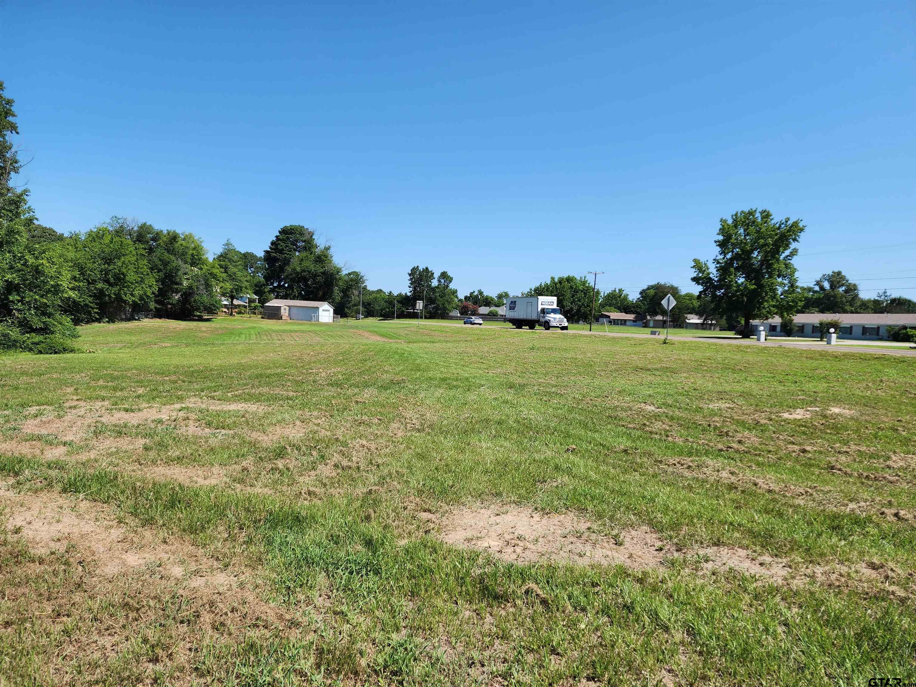 TBD Greenville Highway, Mineola, Texas 75773, ,Land,For Sale,Greenville Highway,23008905