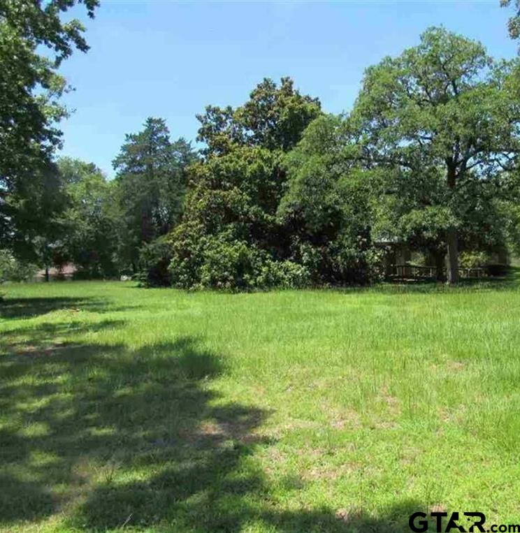 1700 ? PACIFIC, Mineola, Texas 75773, ,Land,For Sale,PACIFIC,23009843