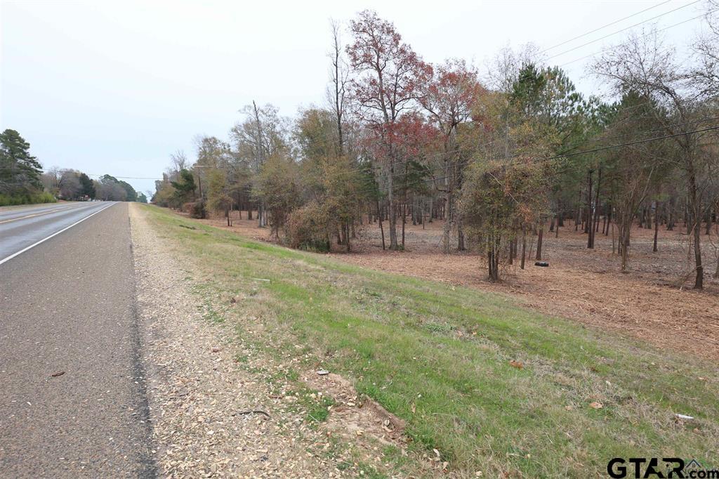 10 ACRES HWY 43 / HUBBARD DR, Henderson, Texas 75654, ,Land,For Sale,HWY 43 / HUBBARD DR,24000217