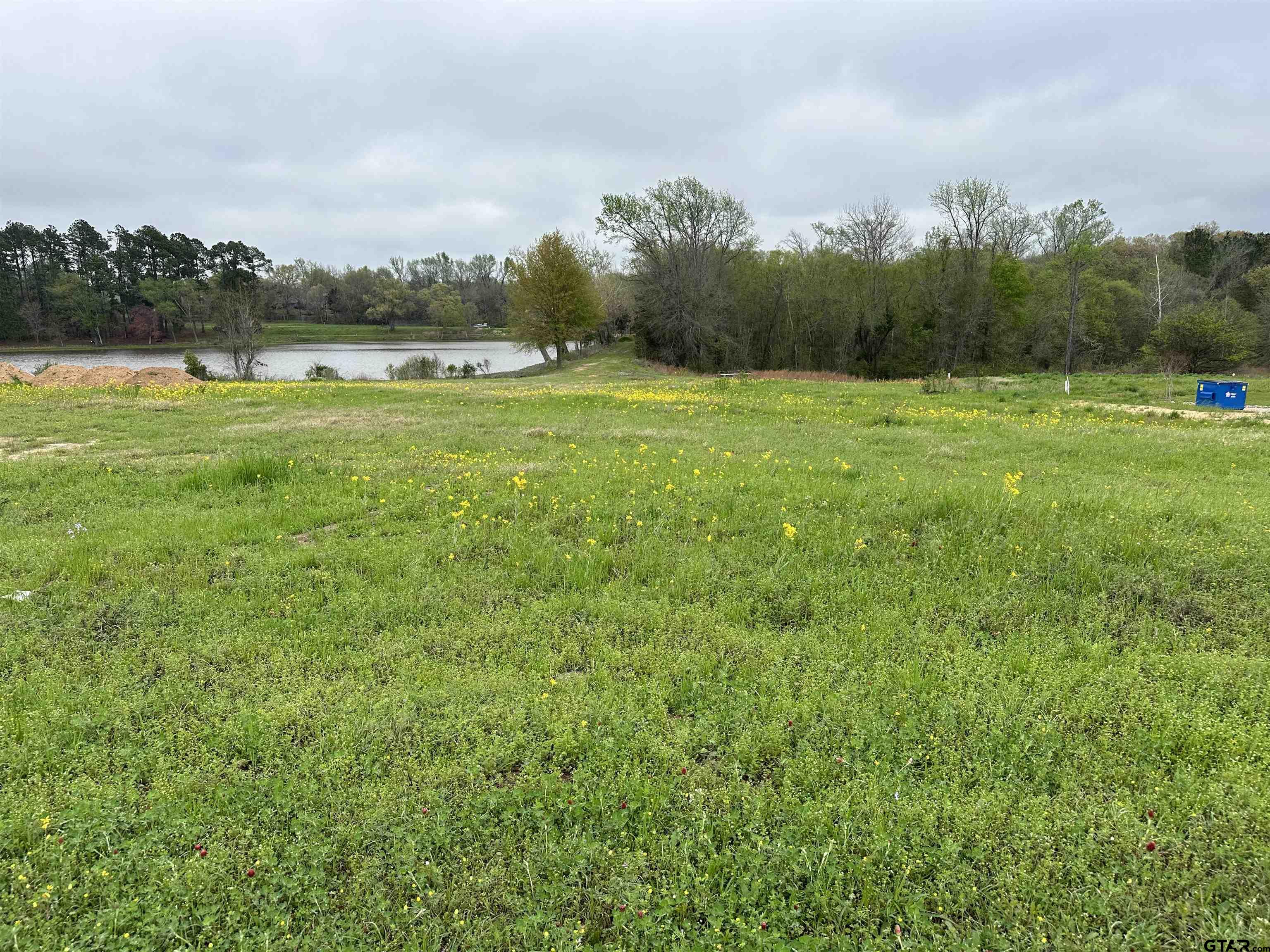1690 Main St., Lindale, Texas 75771, ,Land,For Sale,Main St.,24003911