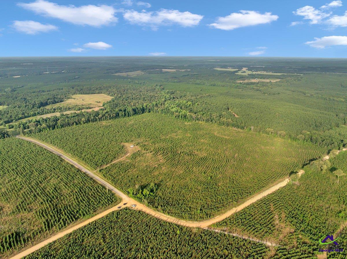 Parcel 6 Carl Rodgers Rd.