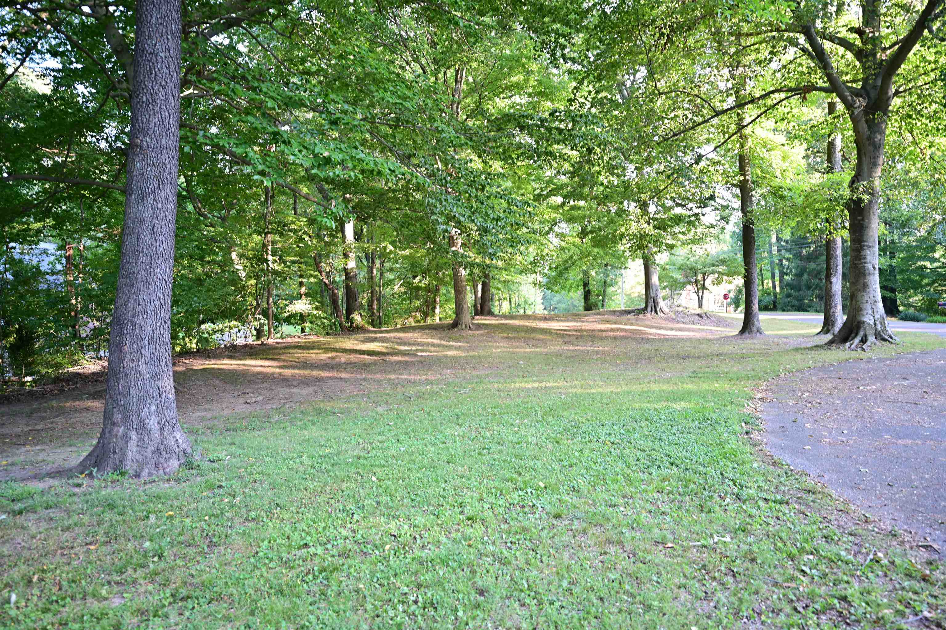 Extra 1.1 acre lot in front of the property.