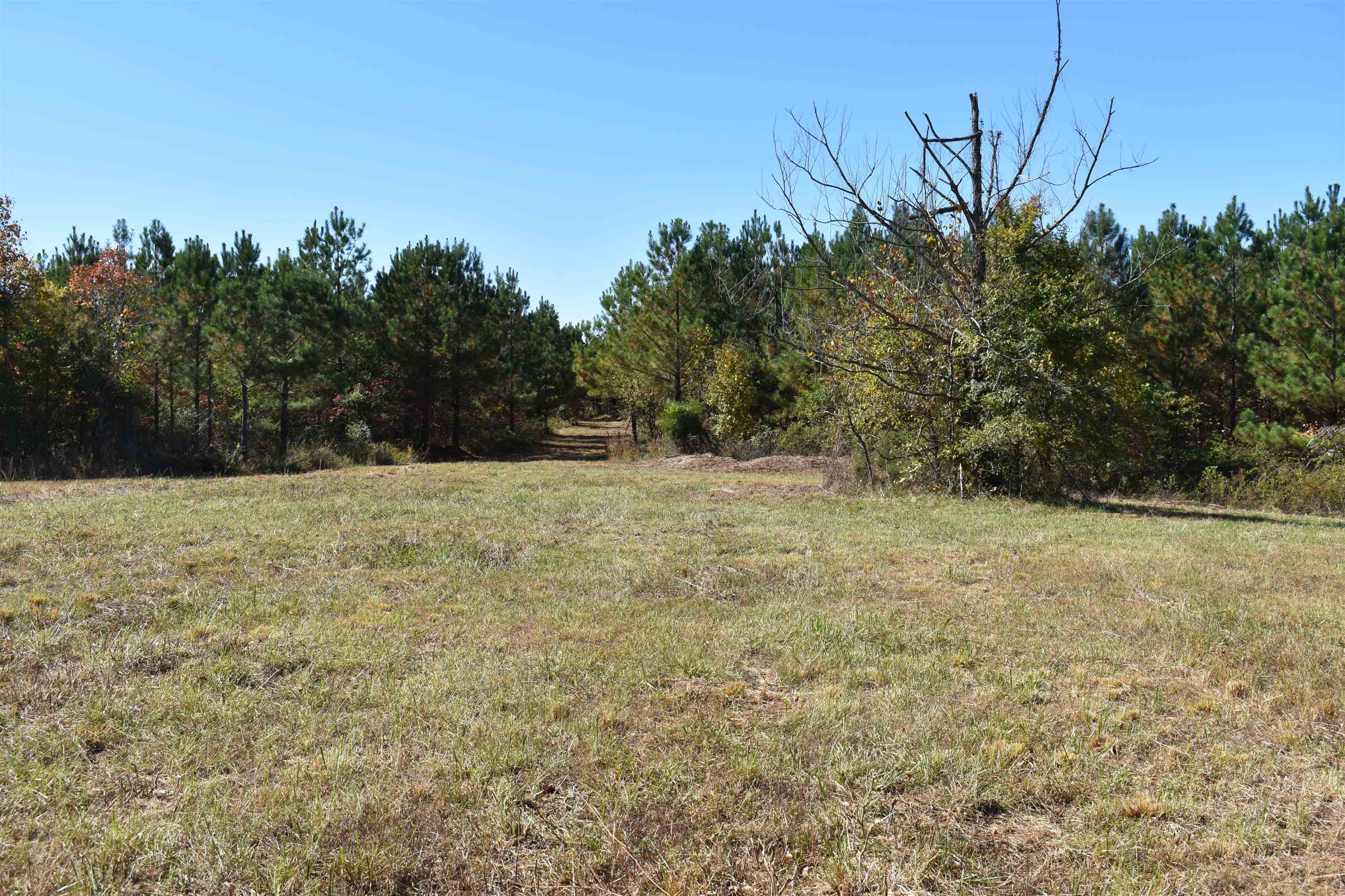 Tract 1 White Oak Road, Stewart, Tennessee 37175, ,Lots/land,For Sale,Tract 1 White Oak Road,232070