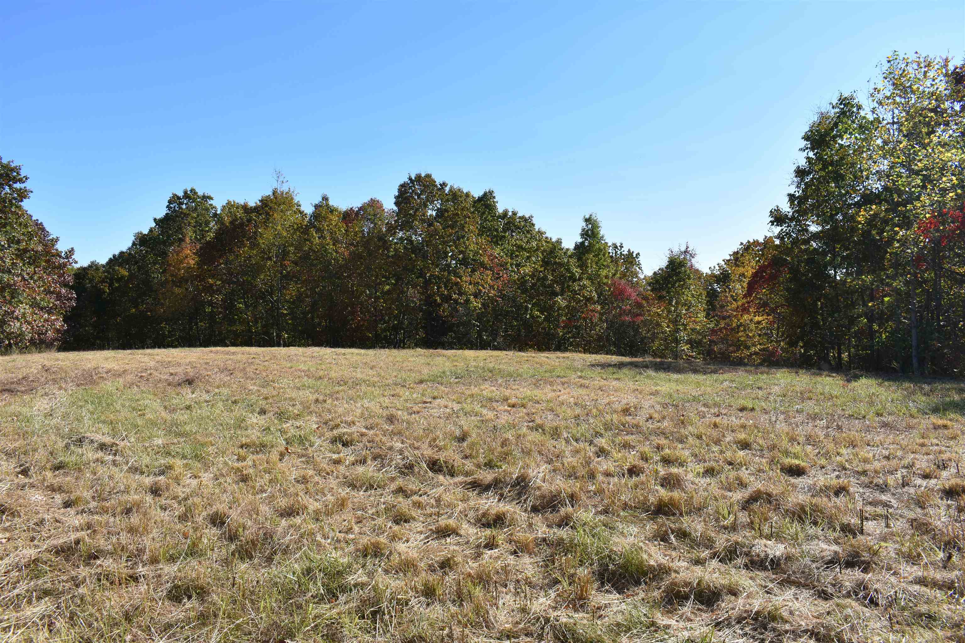 Tract 1 White Oak Road, Stewart, Tennessee 37175, ,Lots/land,For Sale,Tract 1 White Oak Road,232070