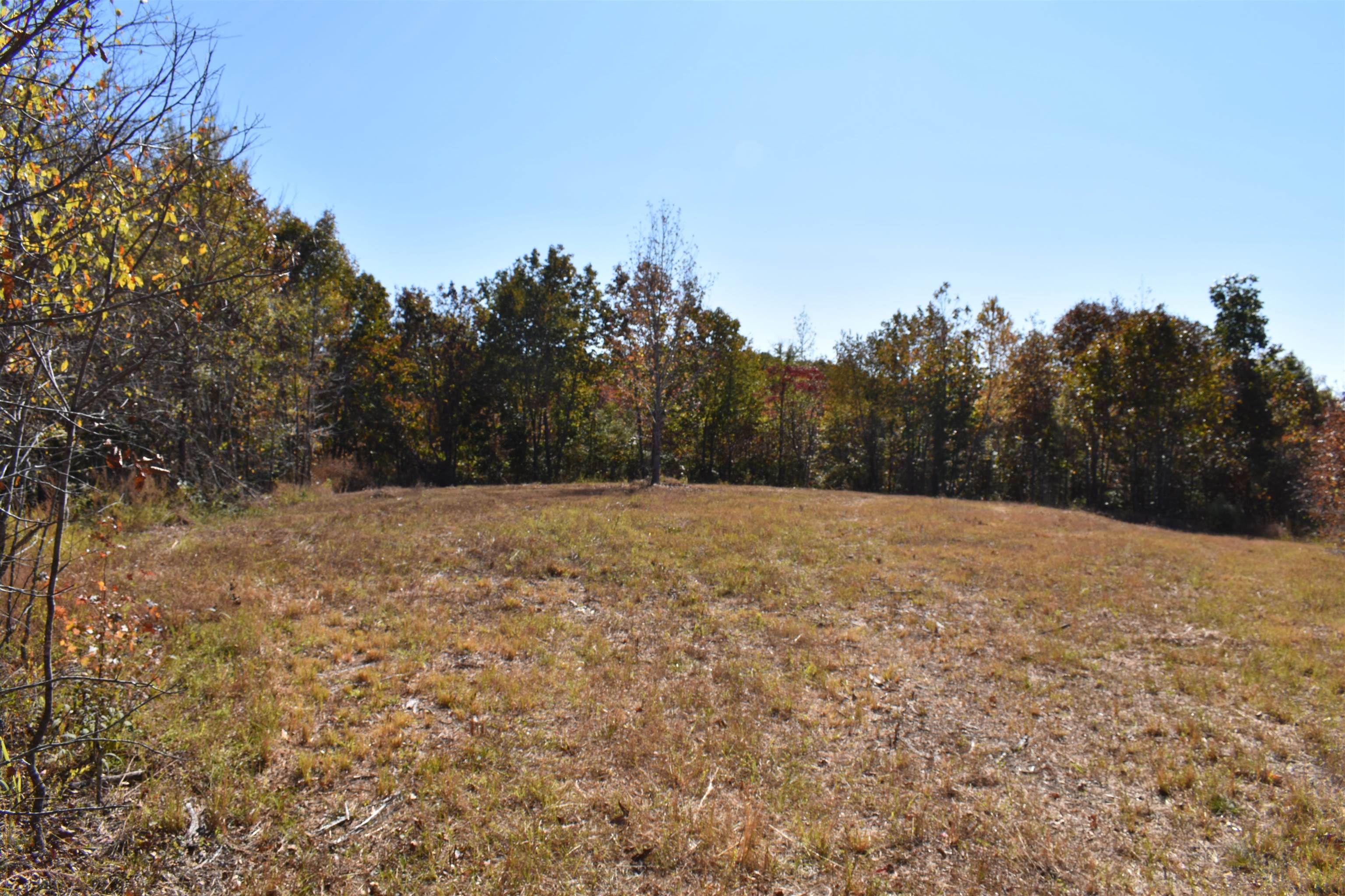 Tract 2 White Oak Road, Stewart, Tennessee 37175, ,Lots/land,For Sale,Tract 2 White Oak Road,232071