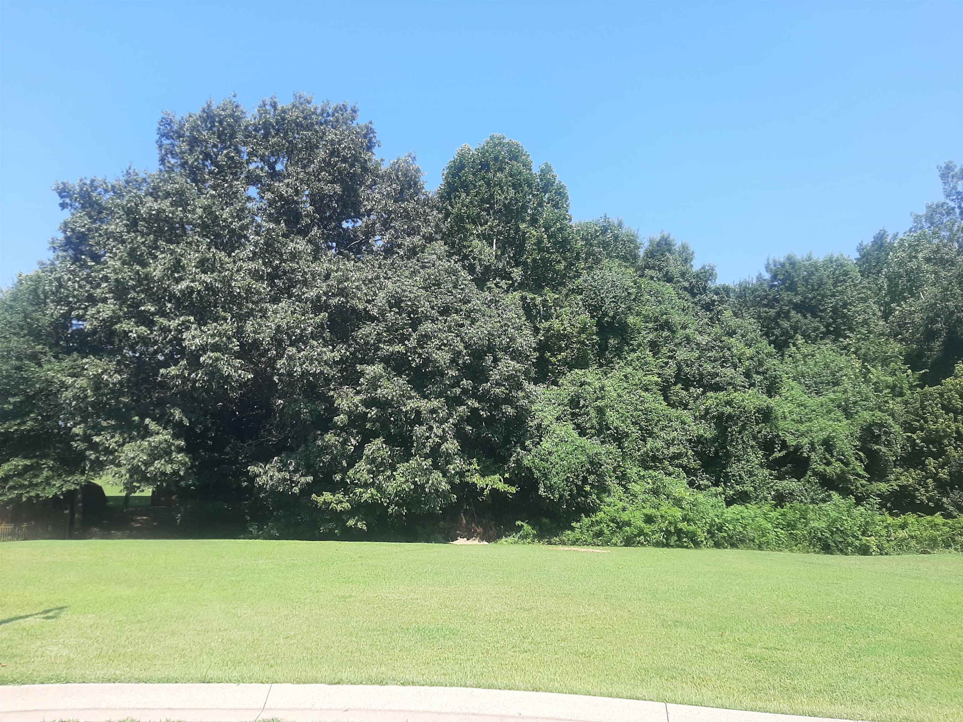 102 Westwood Cove, Dyersburg, Tennessee 38024, ,Lots/land,For Sale,102 Westwood Cove,233311
