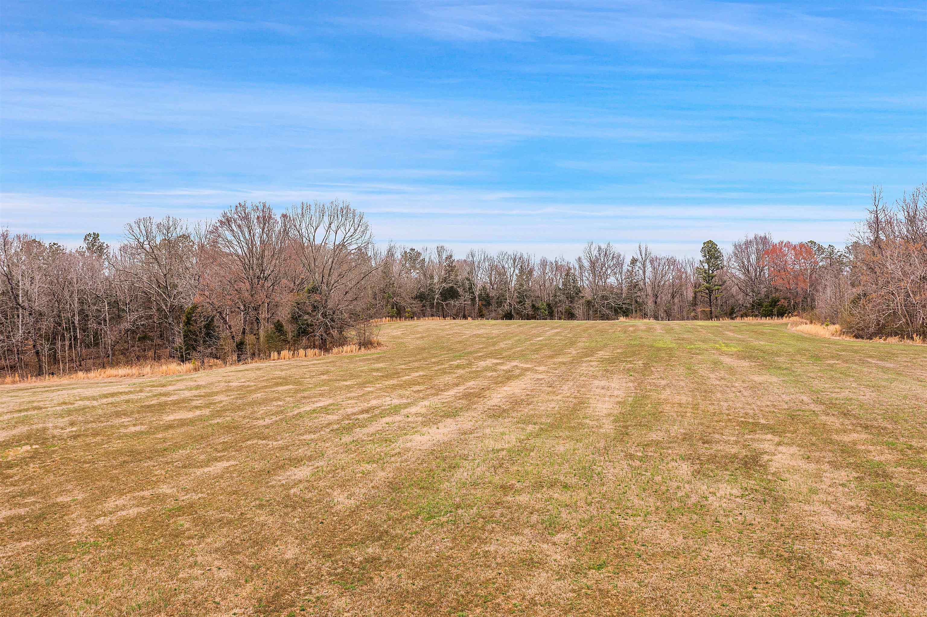 00 Water Tower Road, Cedar Grove, Tennessee 38321-6470, ,Lots/land,For Sale,00 Water Tower Road,240837