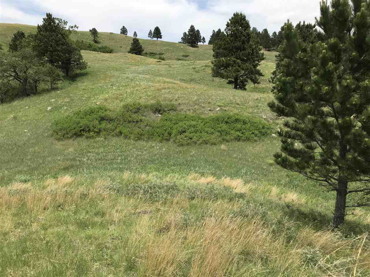 The Real Estate Center of Sturgis Sturgis Real Estate