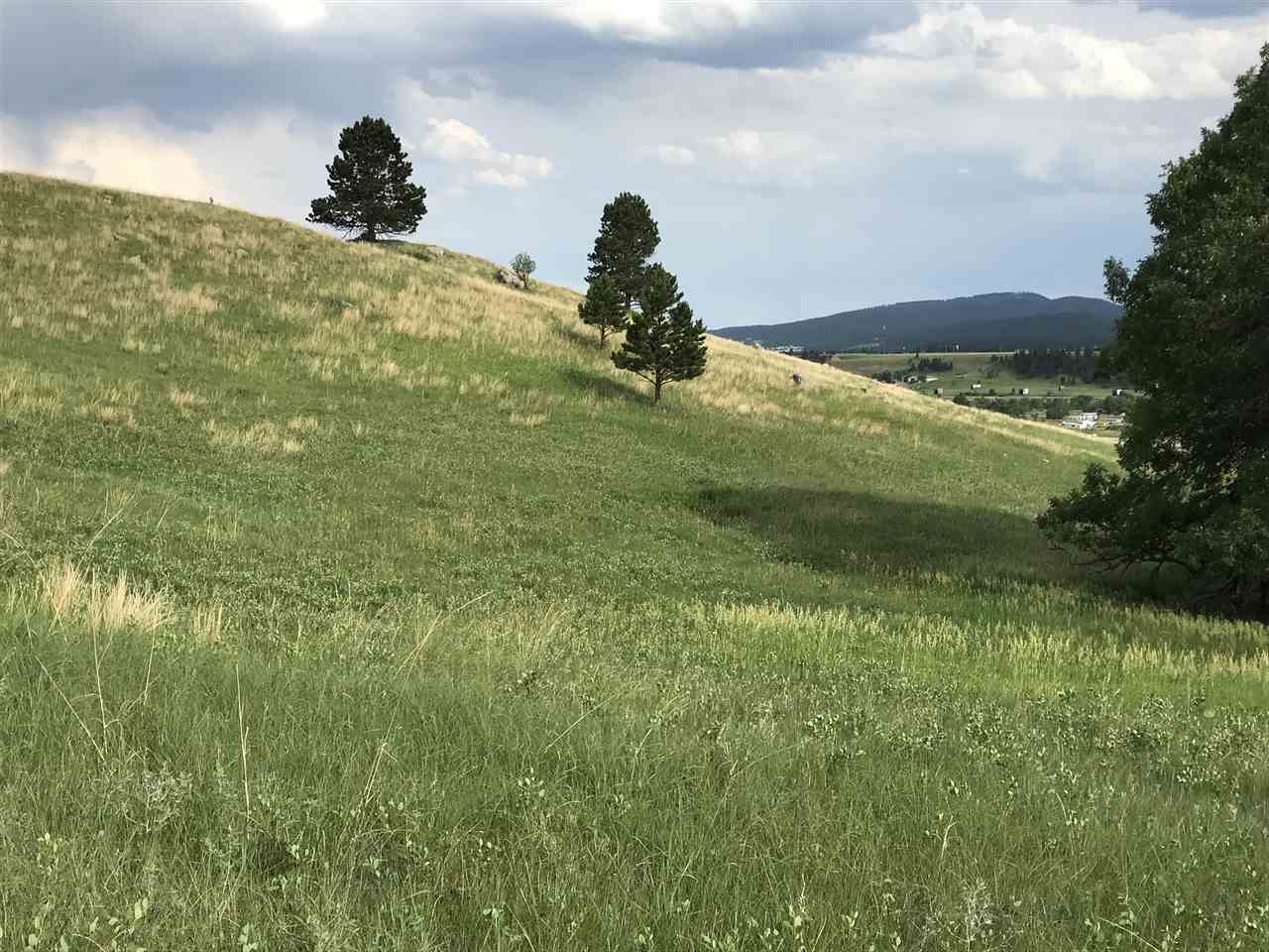 The Real Estate Center of Sturgis Sturgis Real Estate