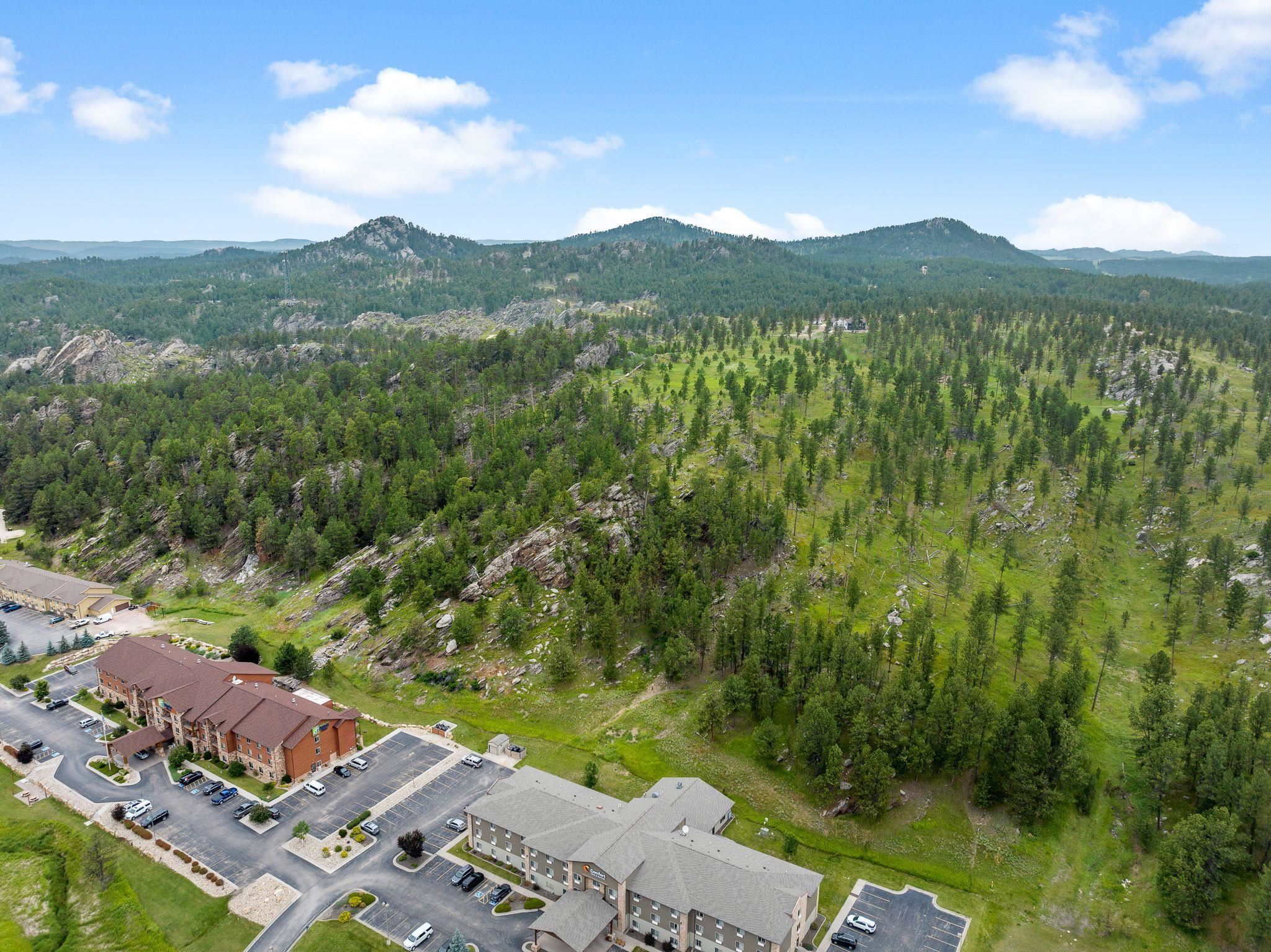 TBD BUCKHORN ESTATES DRIVE, CUSTER, SD 57730 Lampert Real Estate