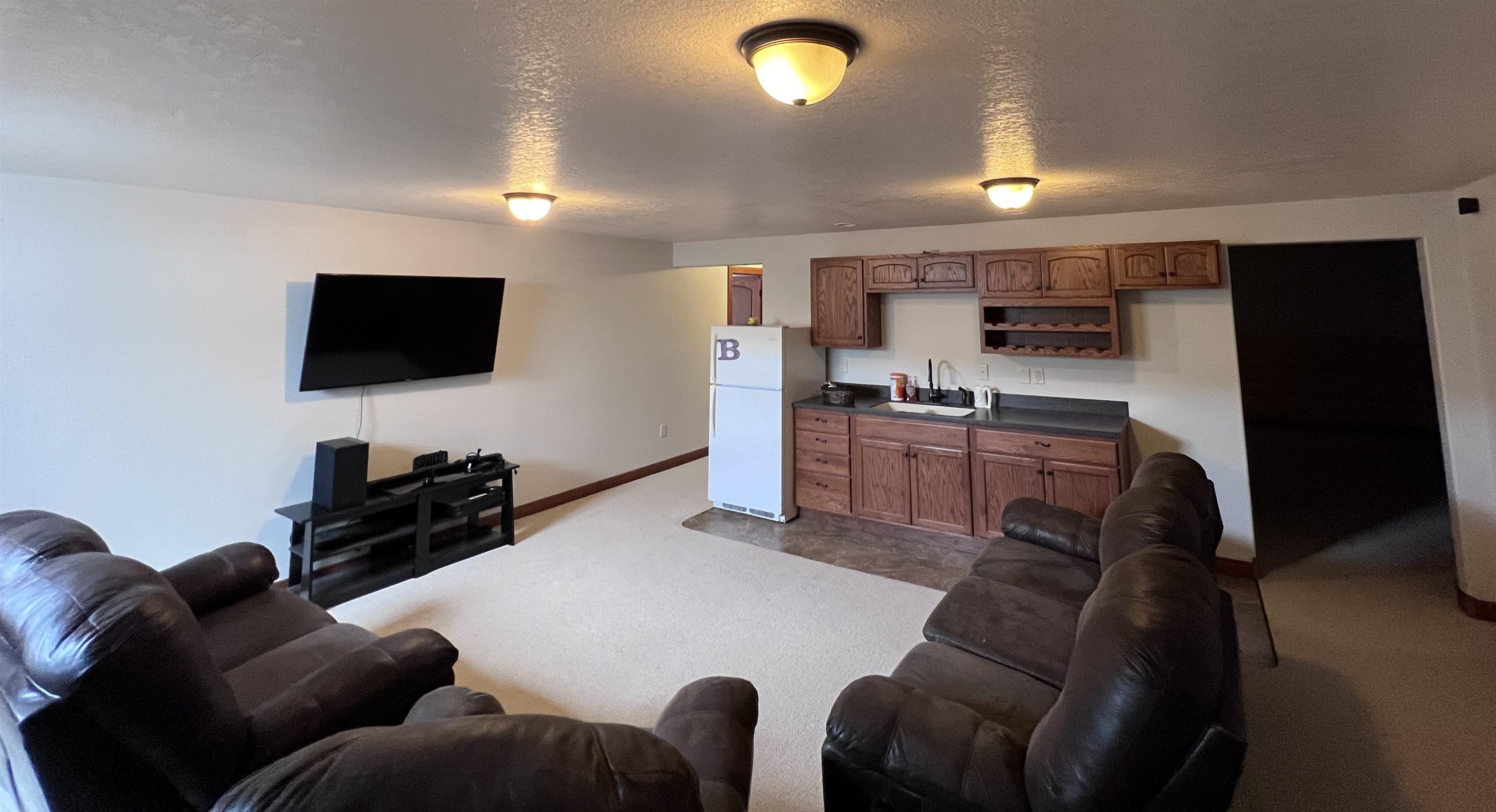 Basement Family Room