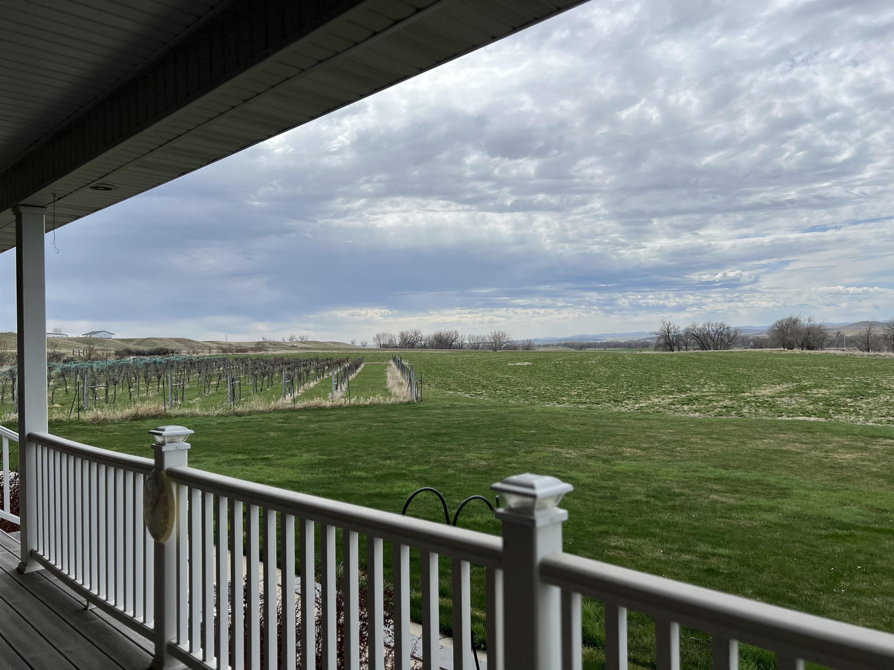 View from Front Deck