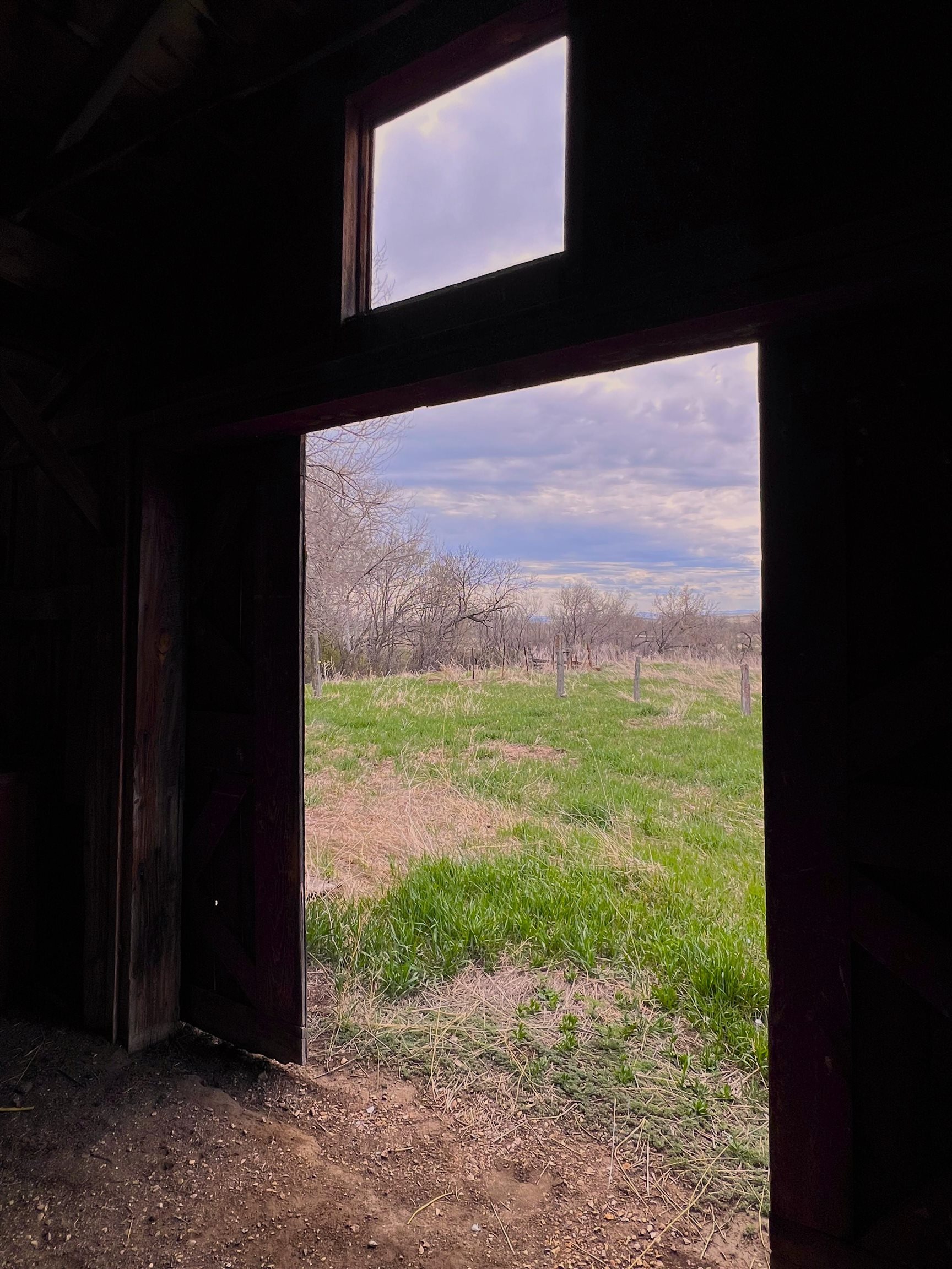 View from Barn