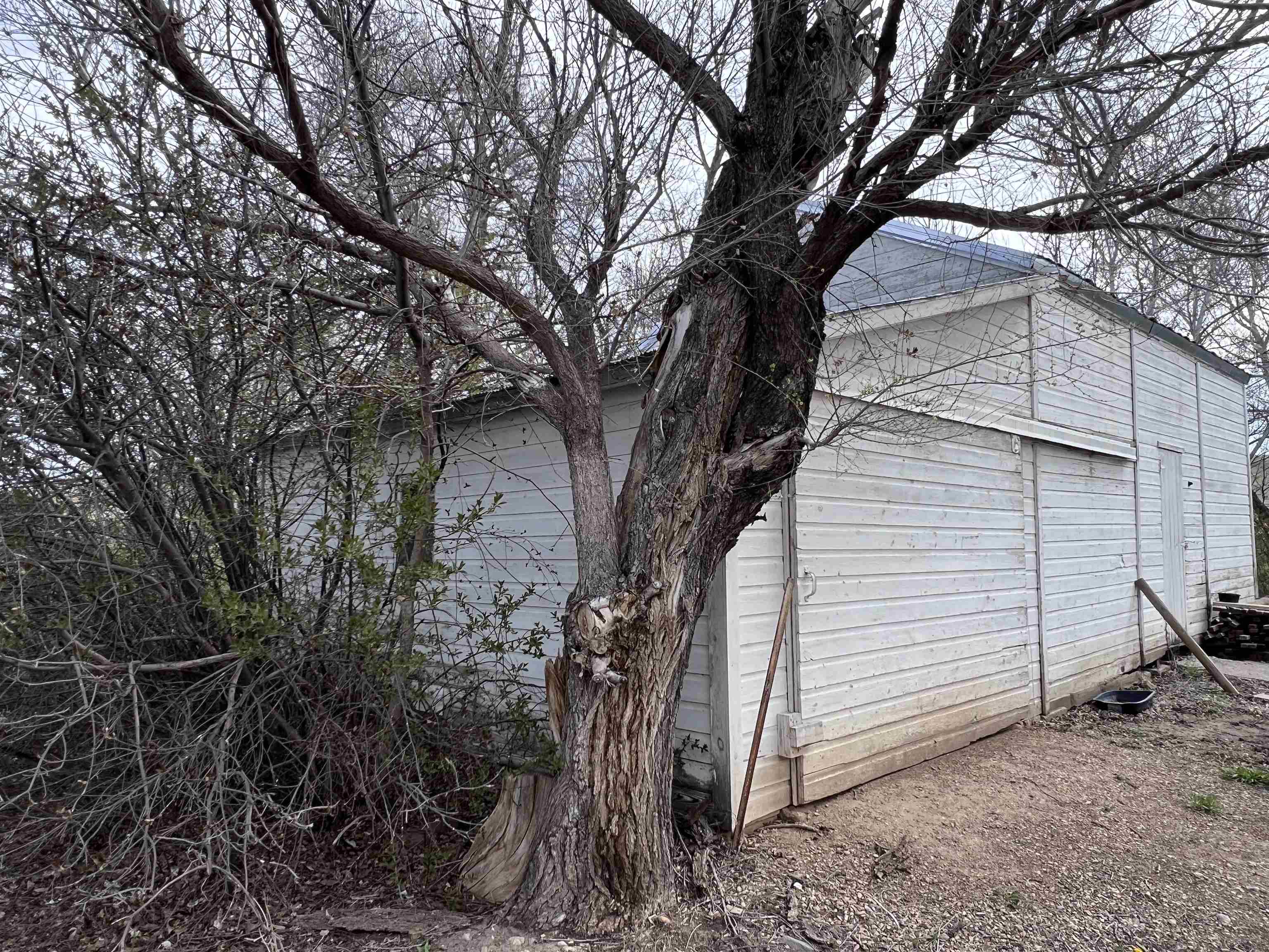 Storage Shed