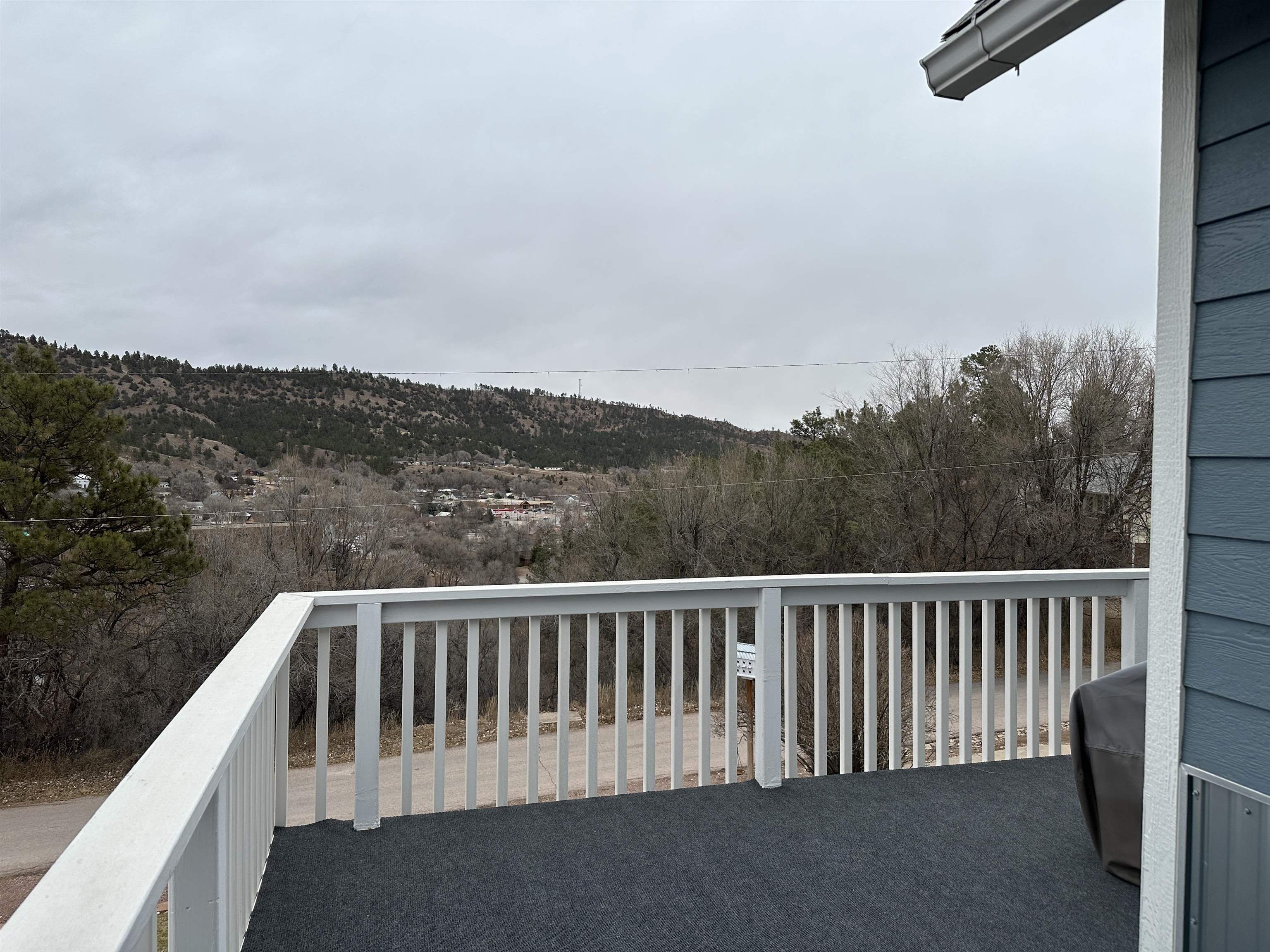 Upper Deck View