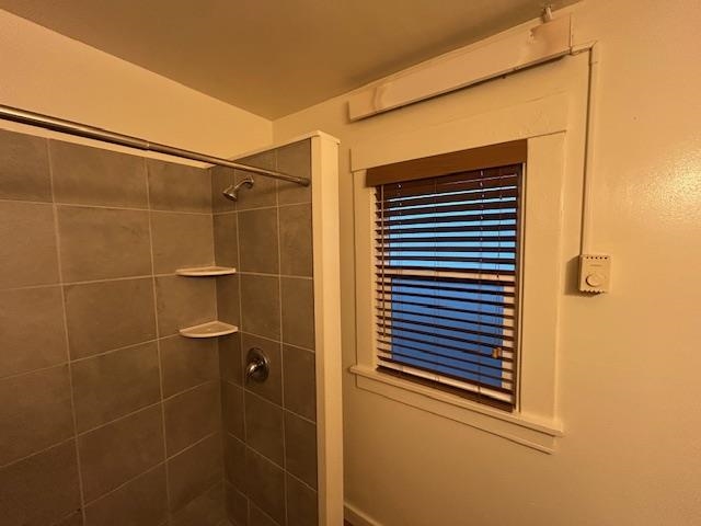Shower & Window