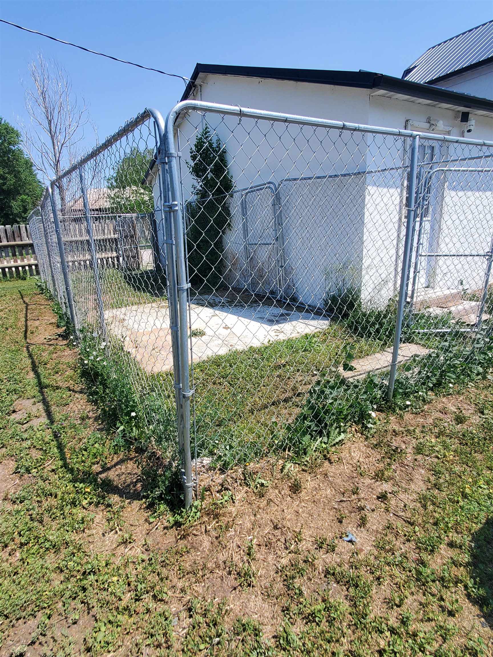 Back Yard Kennel